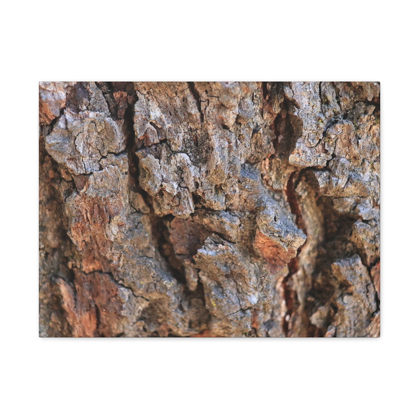 Nature's Skin - Unique Frameless Canvas Wall Art