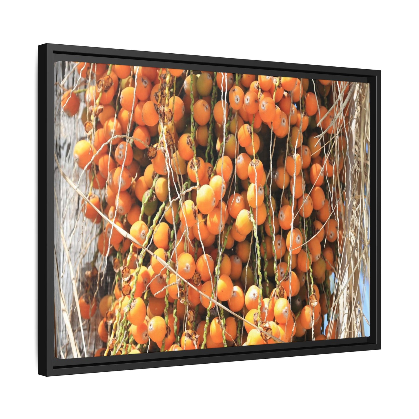 Clusters of Sunlight - Unique Canvas Wall Art