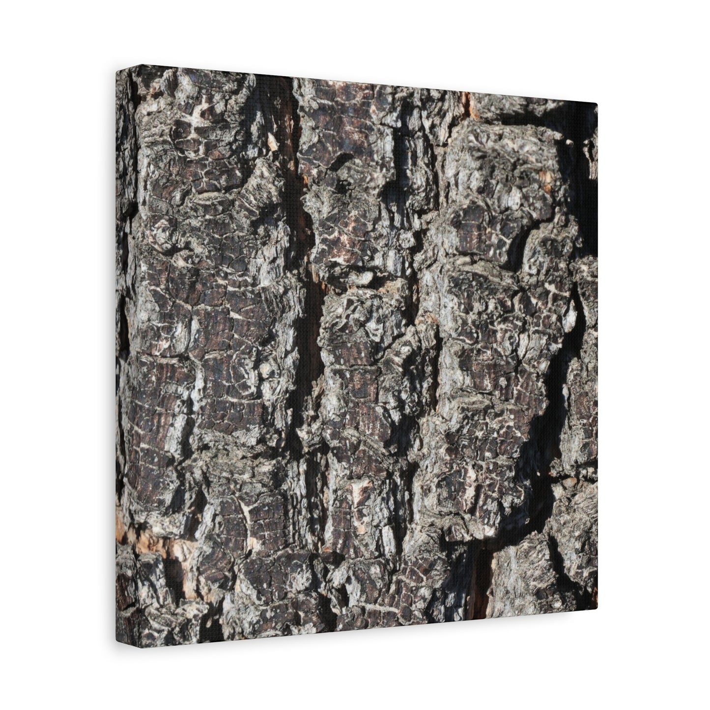 Cracked Skin of Earth - Unique Frameless Canvas Wall Art