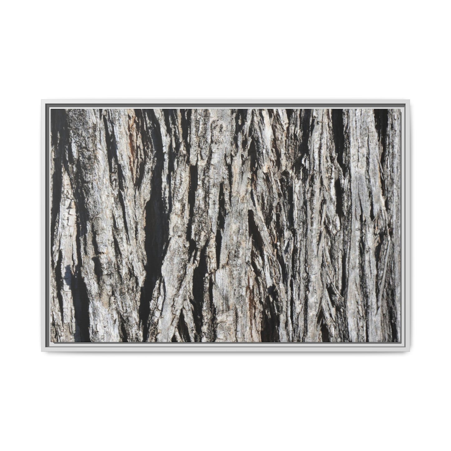 Nature's Abstract - Unique Stretched Canvas Wall Art