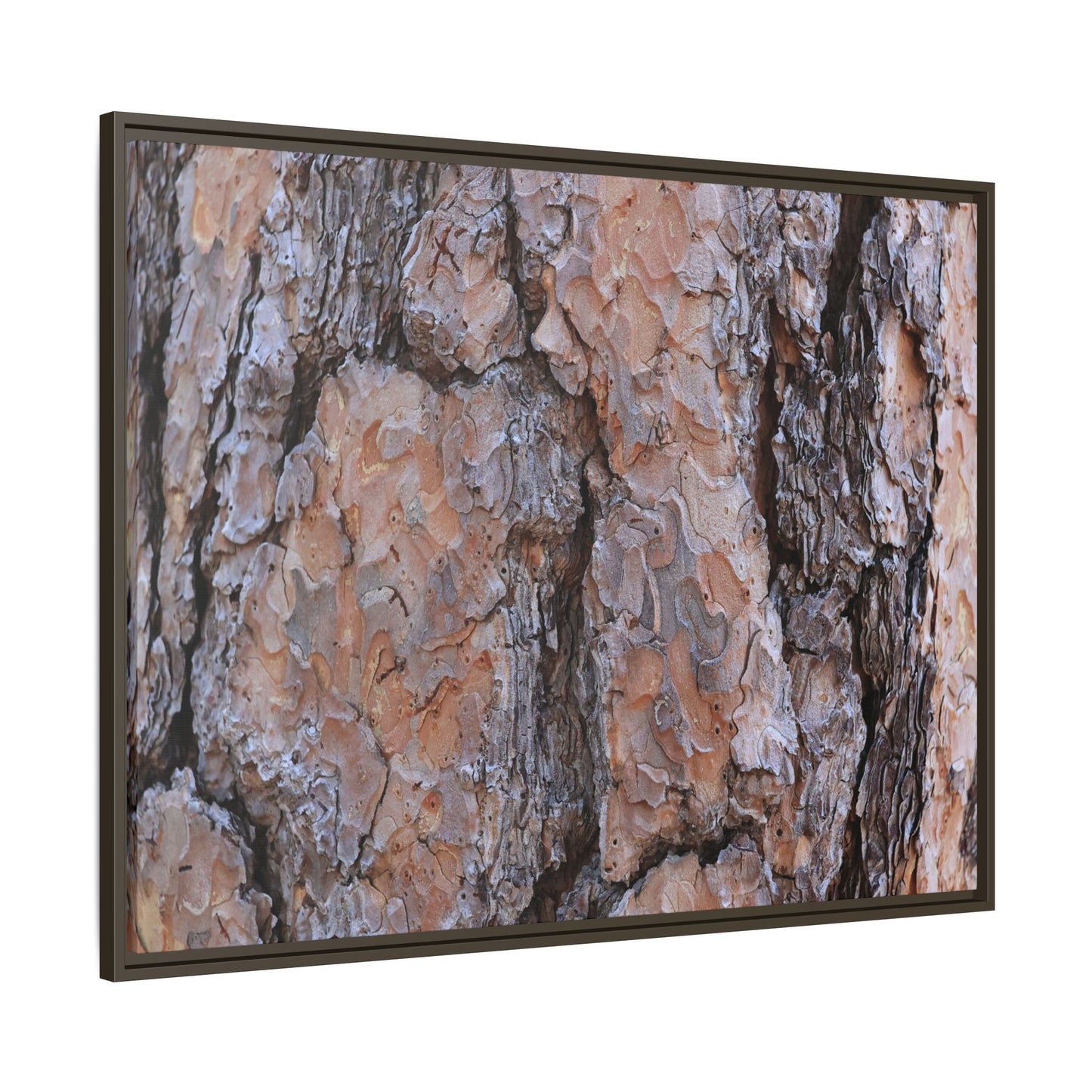 Tree Skin Symphony - Unique Stretched Canvas Wall Art