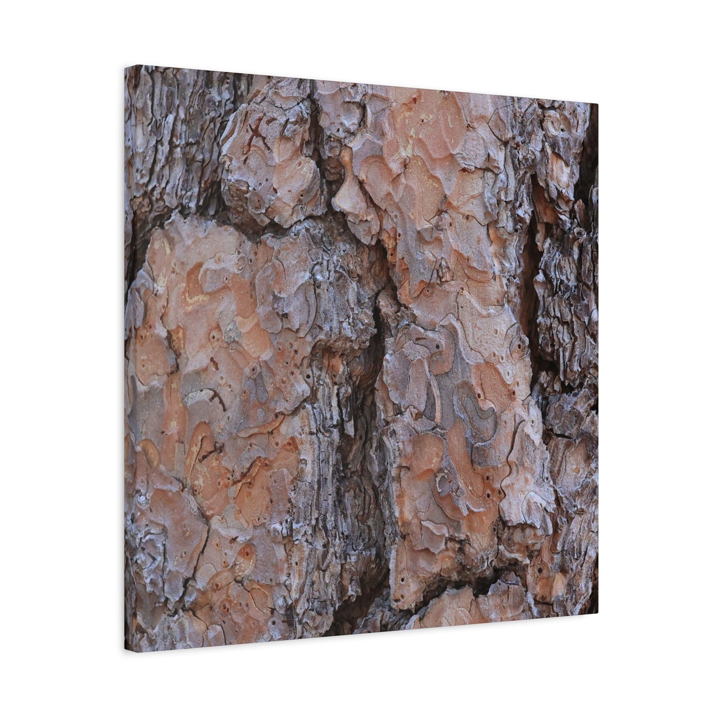 Arboreal Armor - Unique Frameless Canvas Wall Art