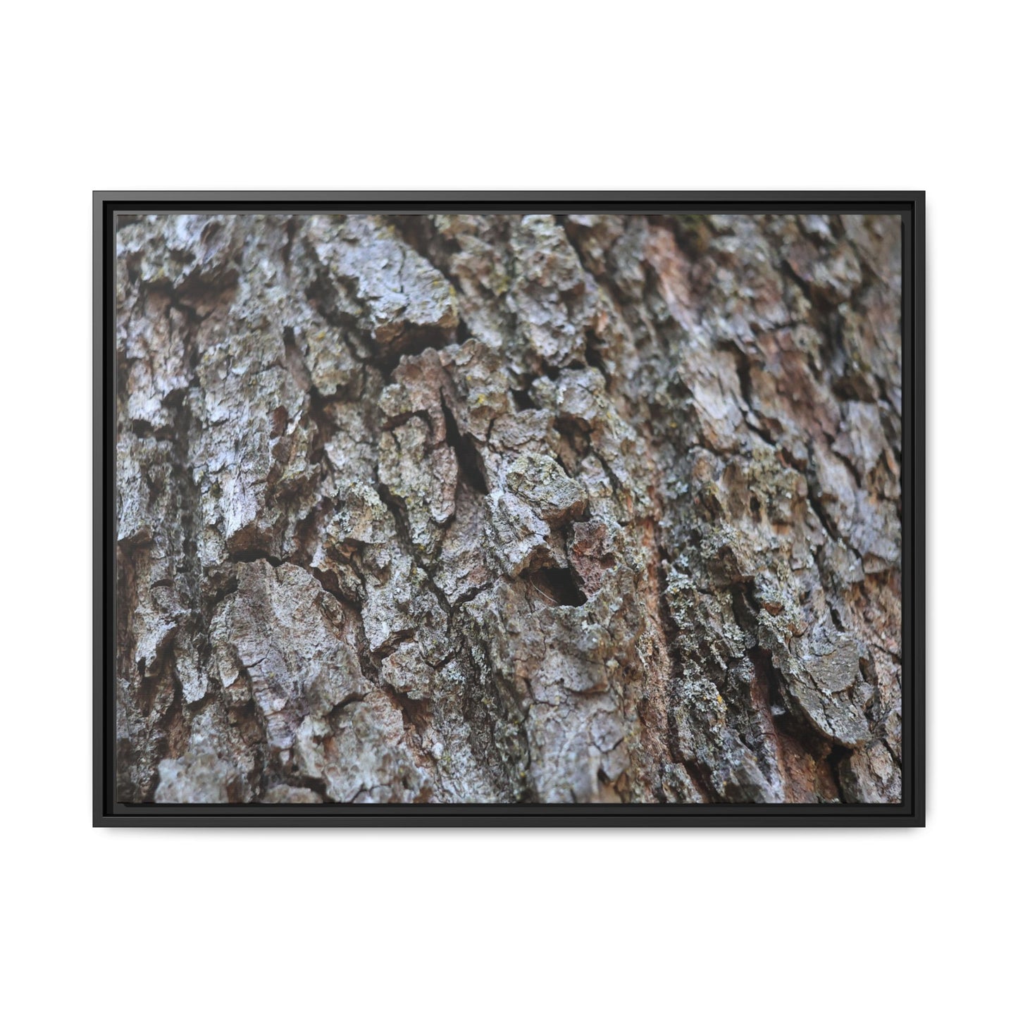 Woodland Canvas - Unique Stretched Canvas Wall Art