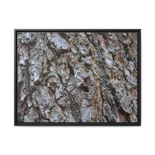Woodland Canvas - Unique Stretched Canvas Wall Art - Art By Earth