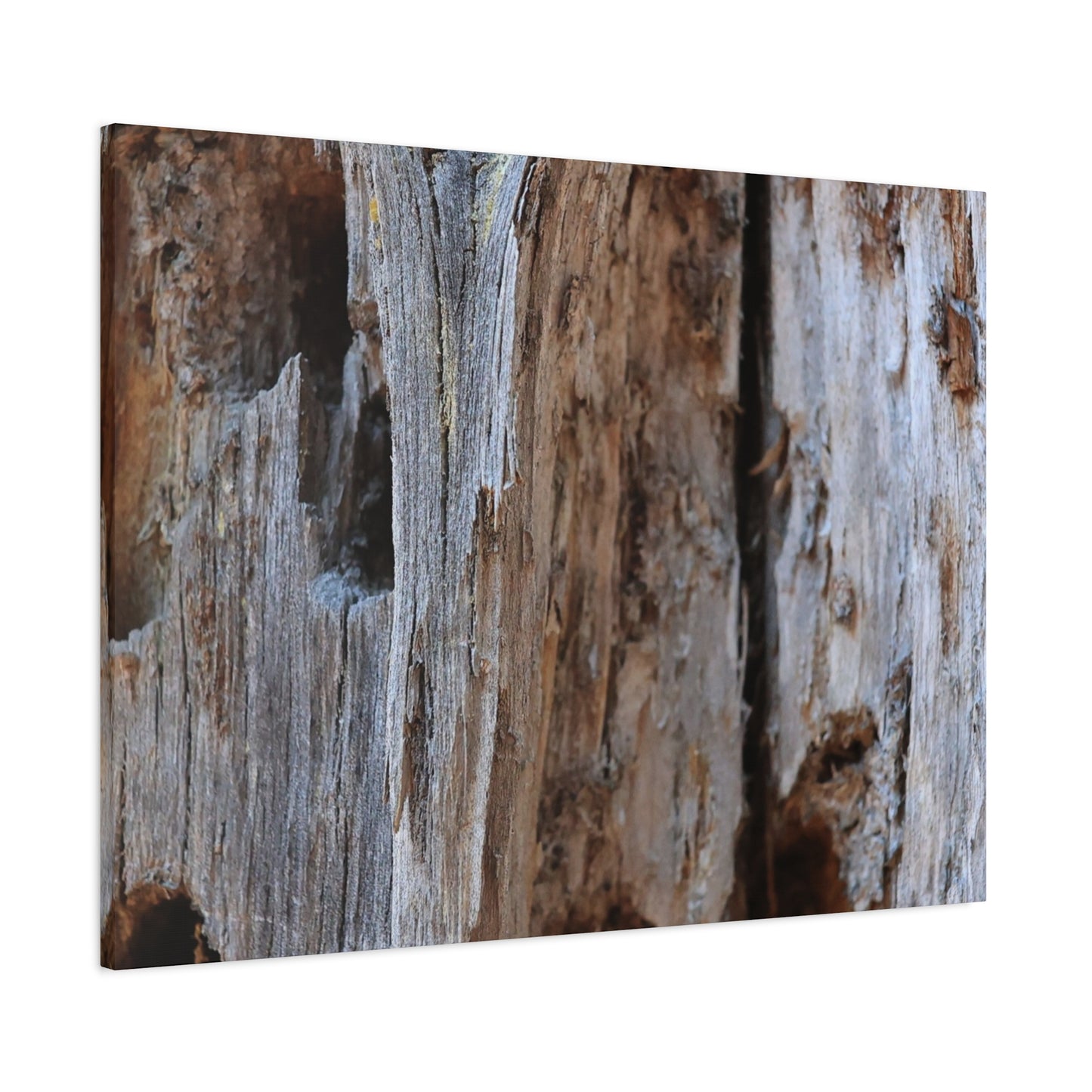 Timber Tapestry - Unique Frameless Canvas Wall Art