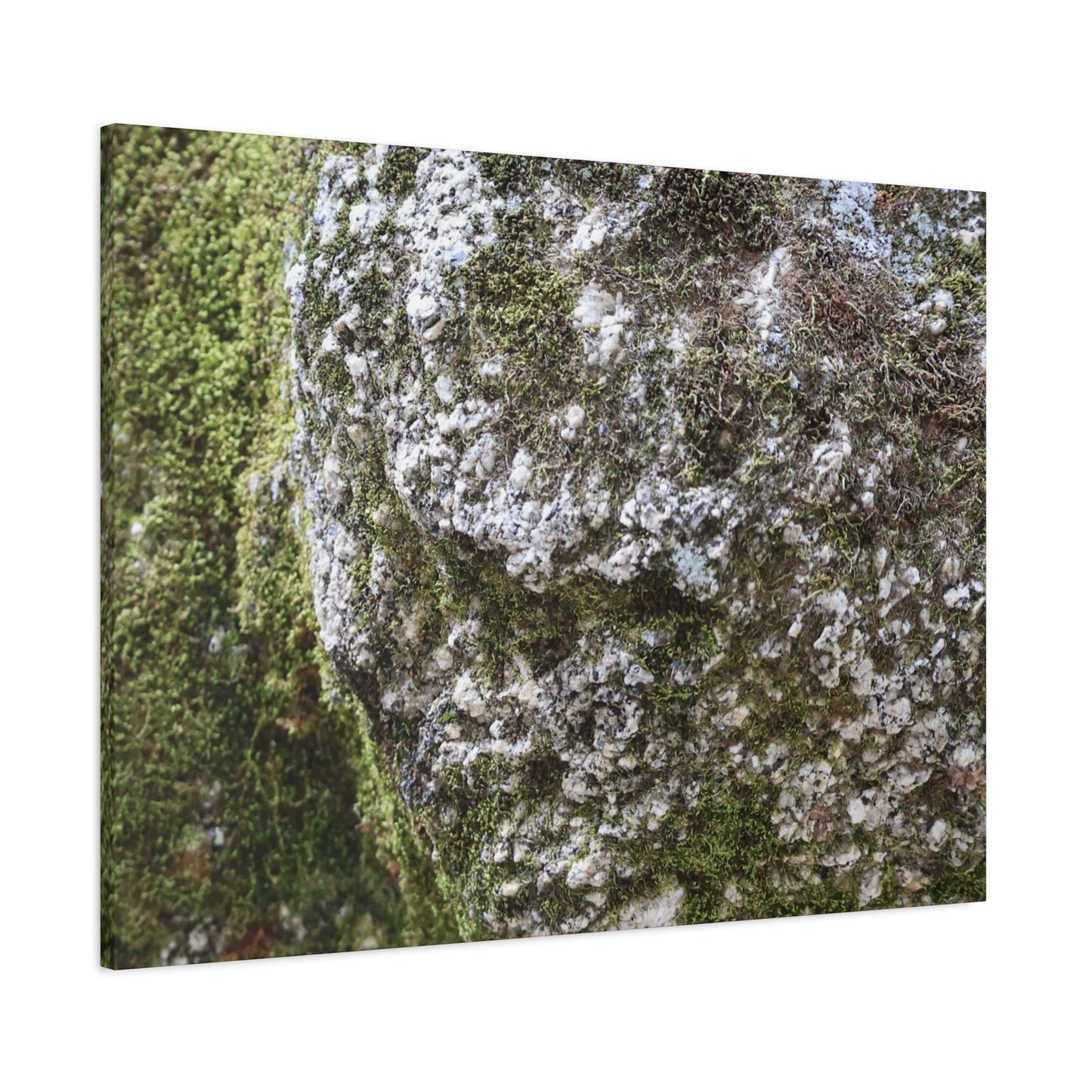 Moss and Stone Whispers - Unique Frameless Canvas Wall Art