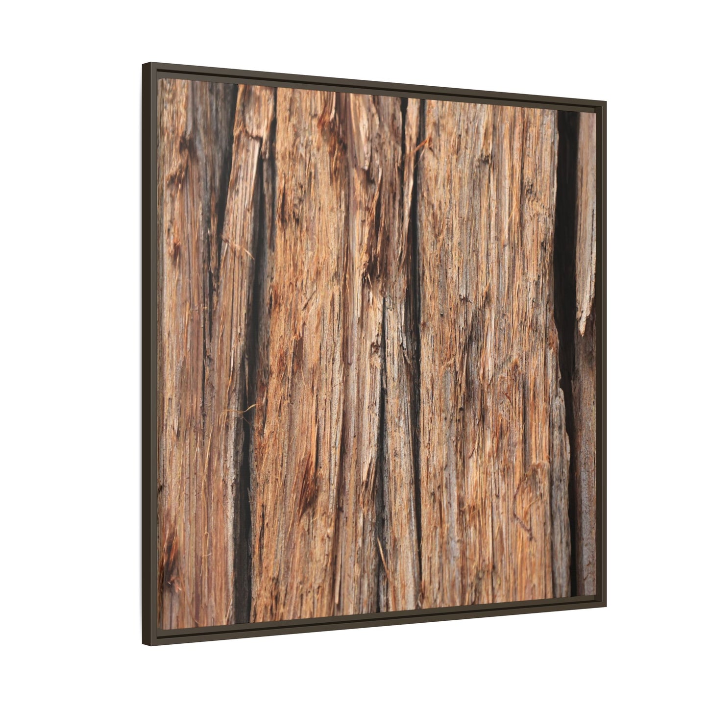 Timber Echoes - Unique Stretched Canvas Wall Art