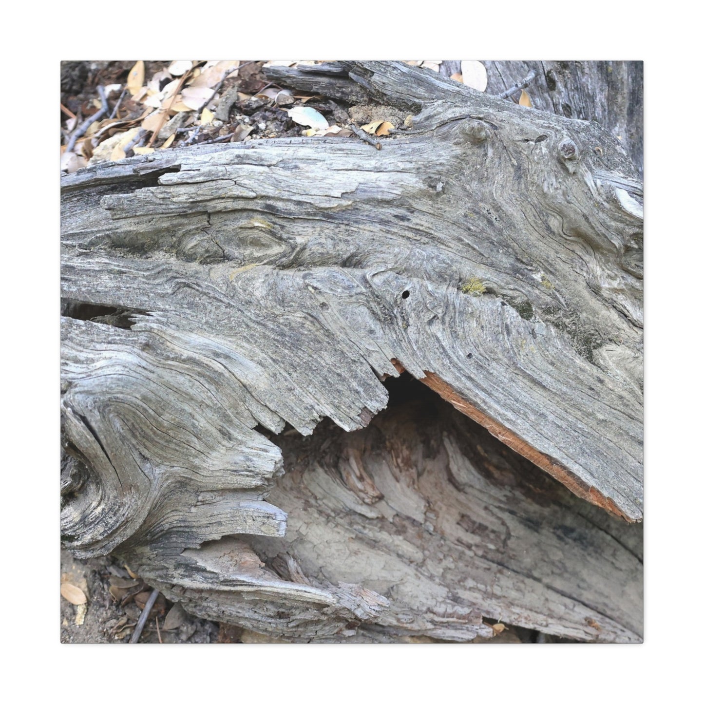 Whispers of Ancient Wood - Unique Frameless Canvas Wall Art