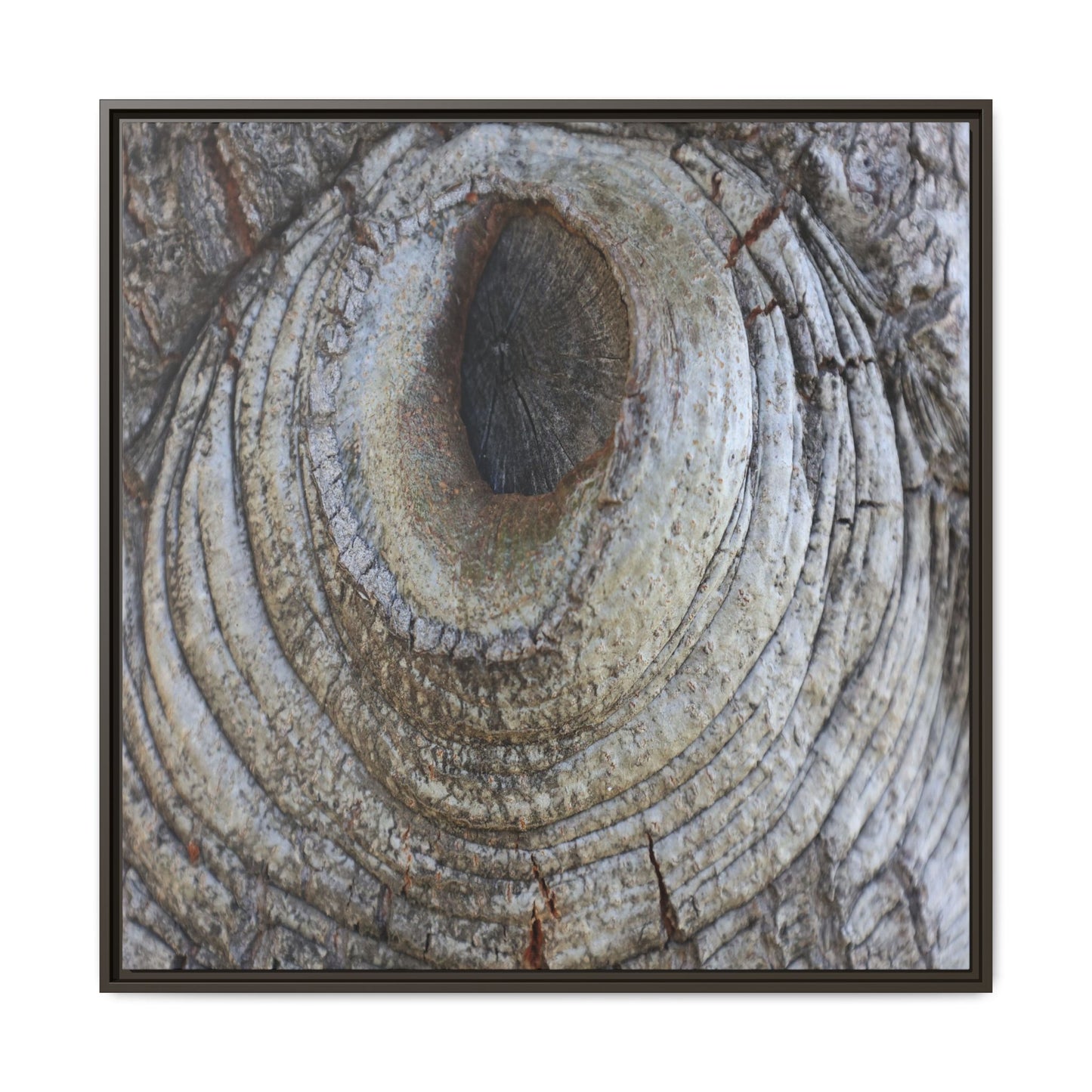 Echoes of Time - Unique Stretched Canvas Wall Art