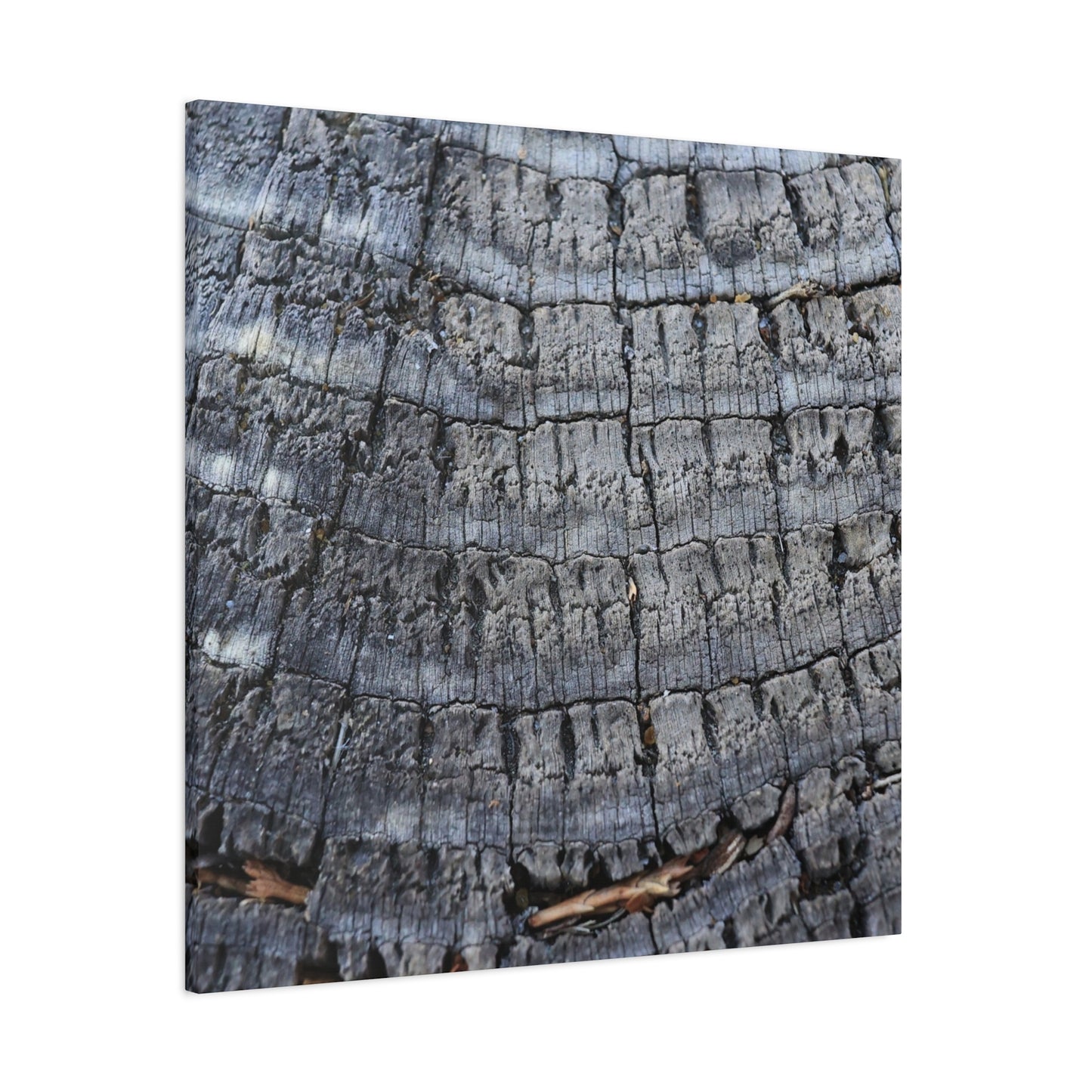 Whispers of Age - Unique Frameless Canvas Wall Art