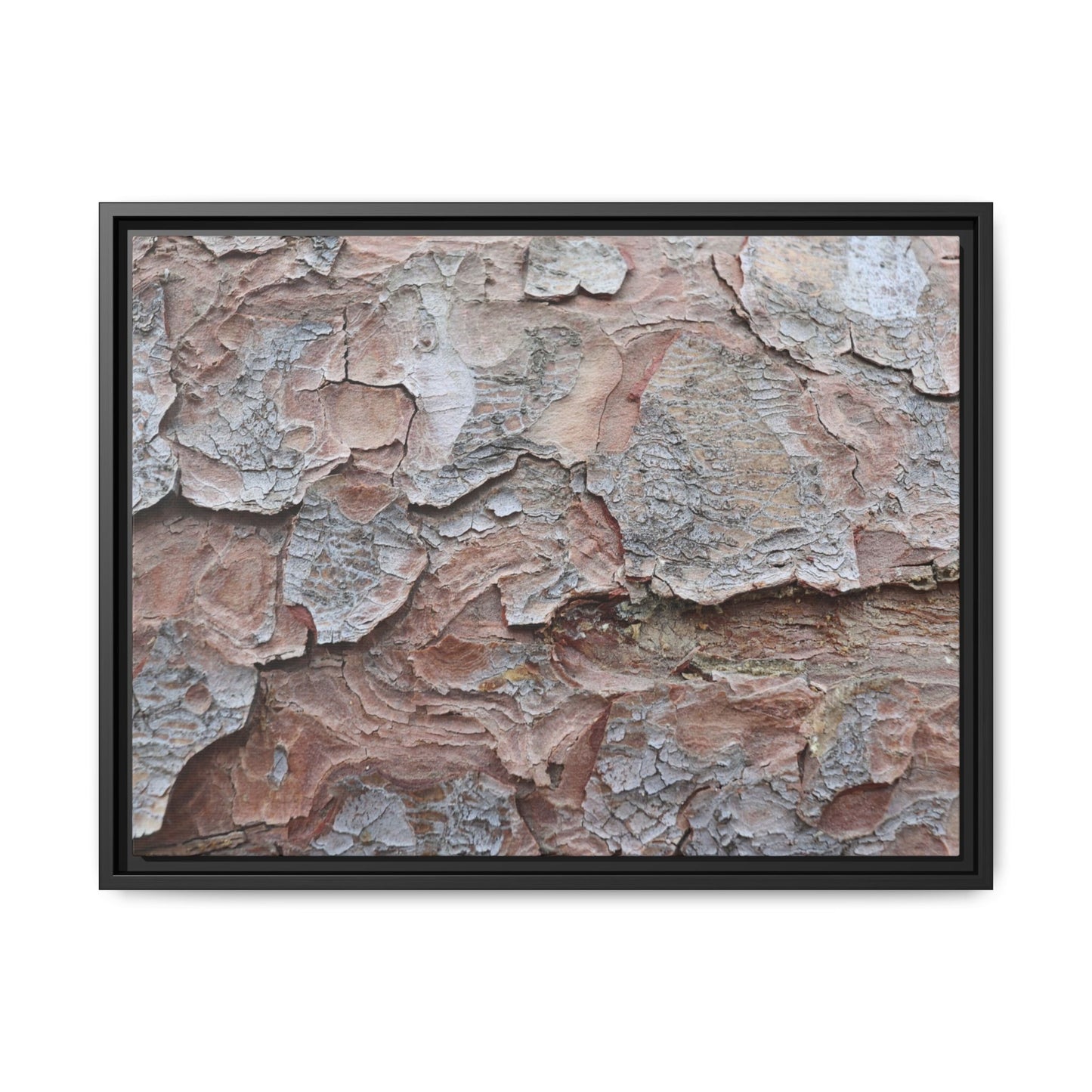 Flaking Serenity - Unique Stretched Canvas Wall Art