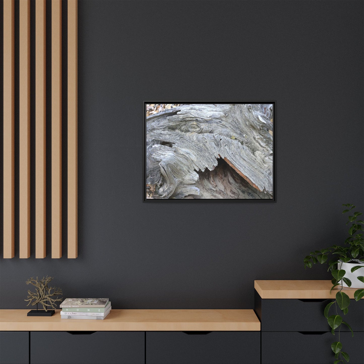 Driftwood Dreams - Unique Stretched Canvas Wall Art