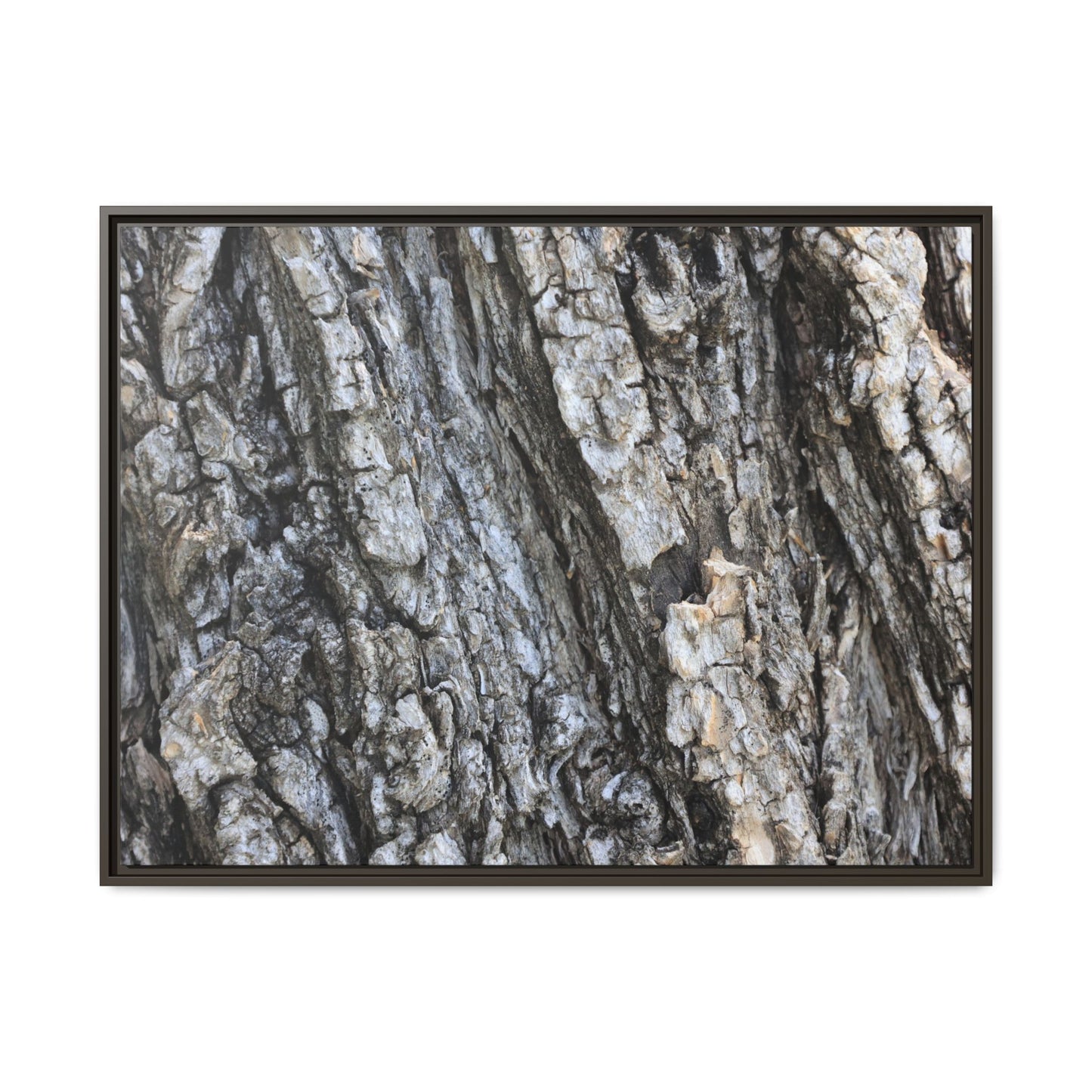 Twisted Textures - Unique Stretched Canvas Wall Art