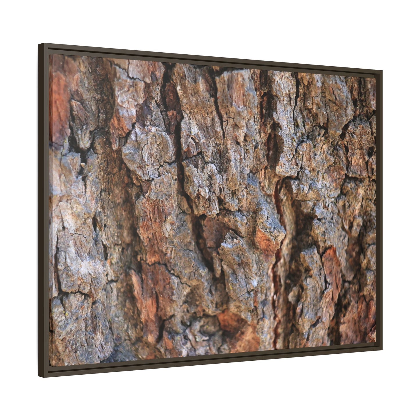 Craggy Textures - Unique Stretched Canvas Wall Art