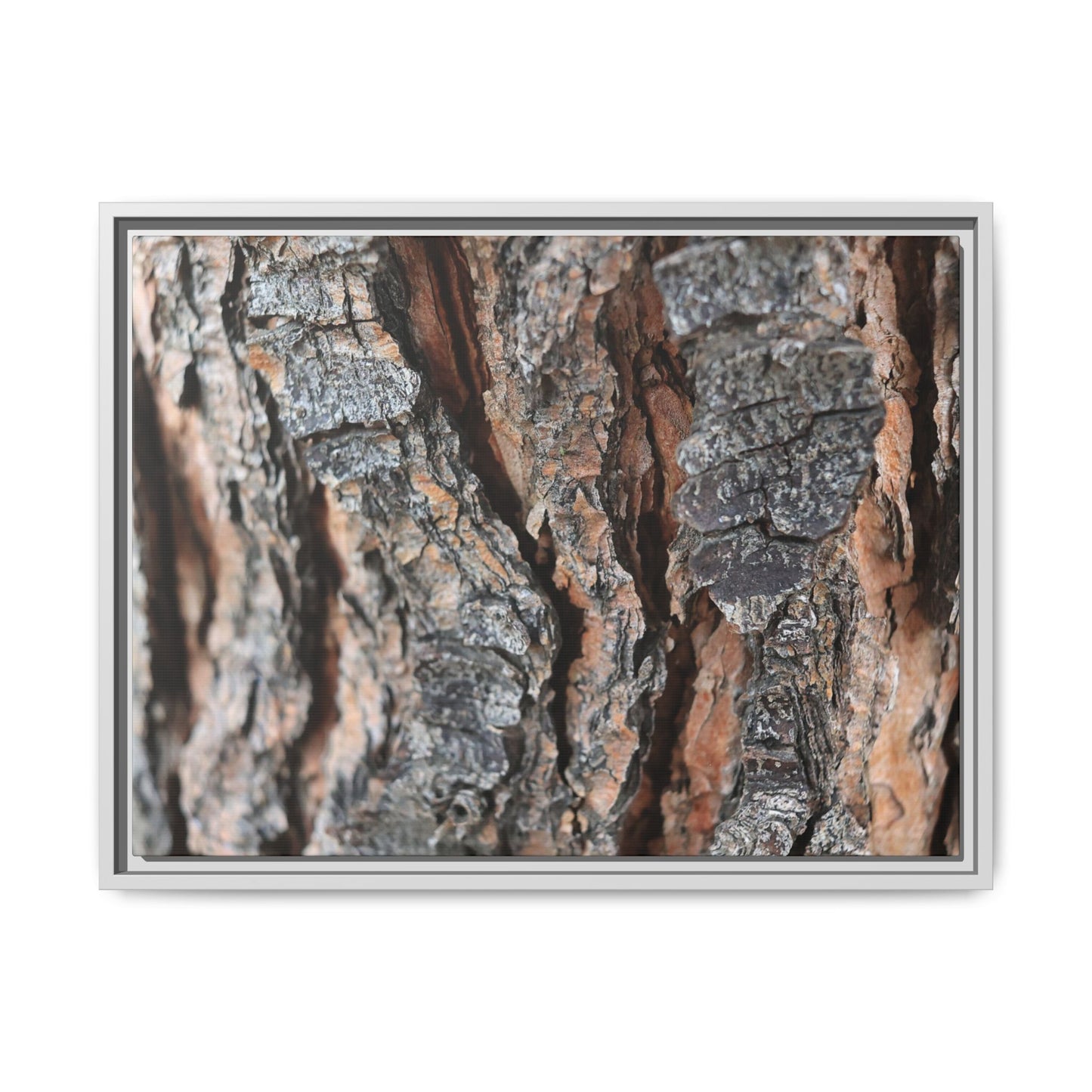 Fractured Nature - Unique Stretched Canvas Wall Art