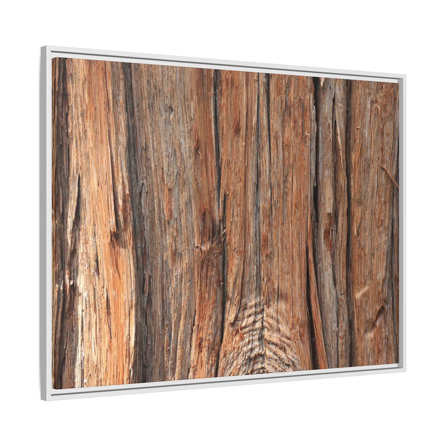 Echoes of Timber - Unique Stretched Canvas Wall Art