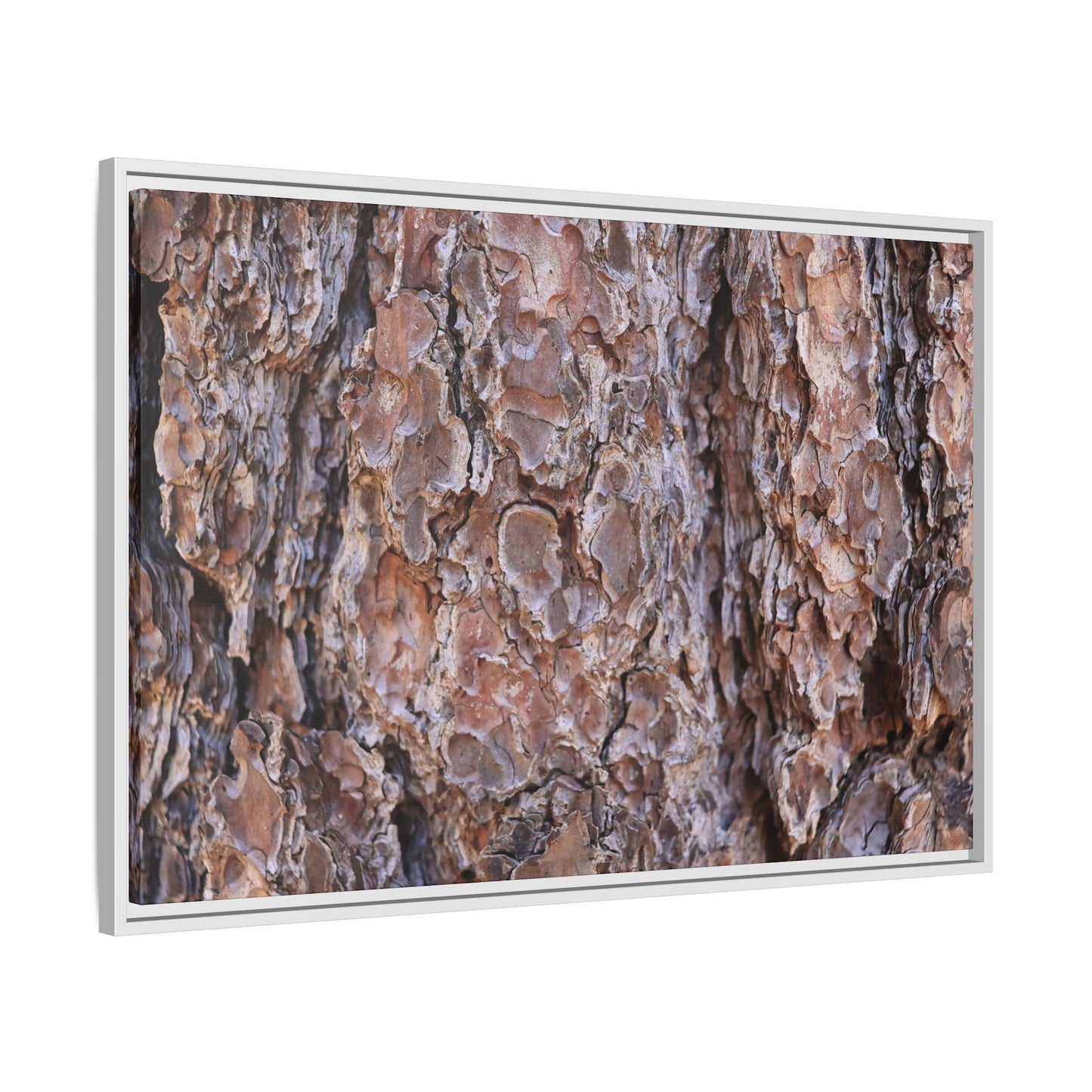 Woody Layers - Unique Stretched Canvas Wall Art
