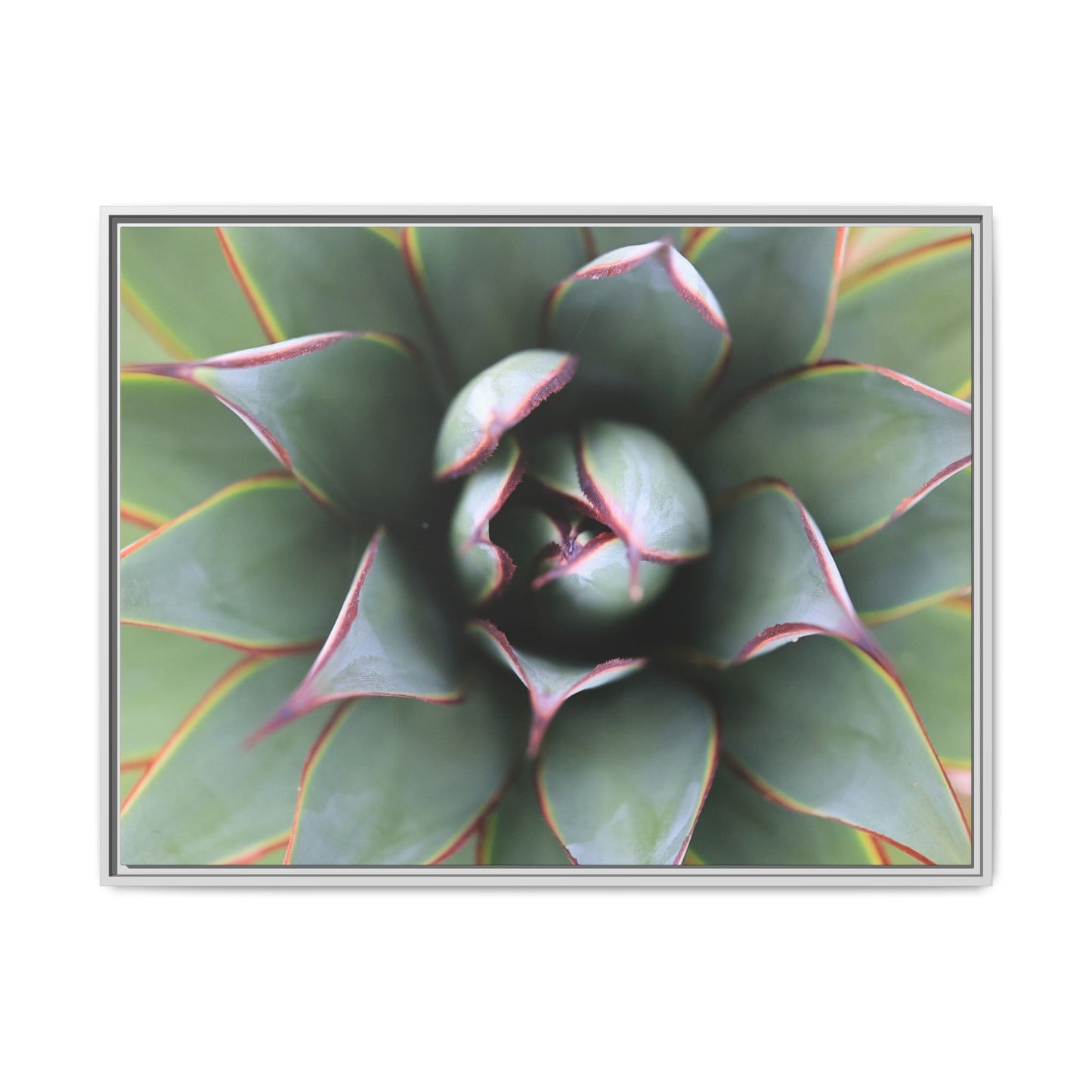Spiky Elegance - Unique Stretched Canvas Wall Art