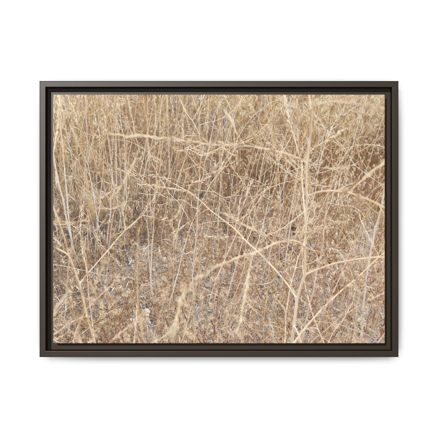 Golden Stalks - Unique Stretched Canvas Wall Art