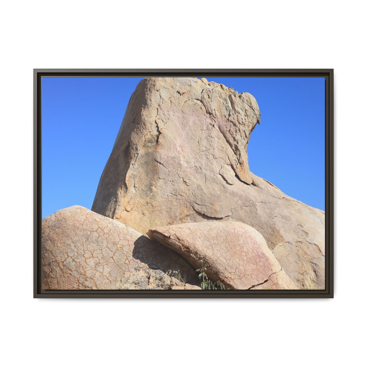 Rocky Sentinel - Unique Stretched Canvas Wall Art