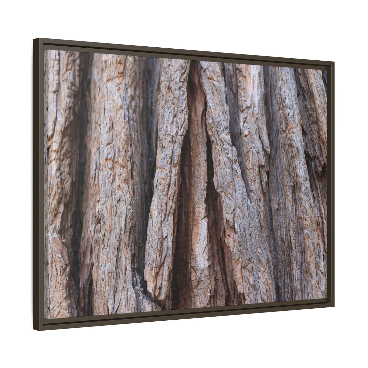 Nature's Sculpture - Unique Stretched Canvas Wall Art