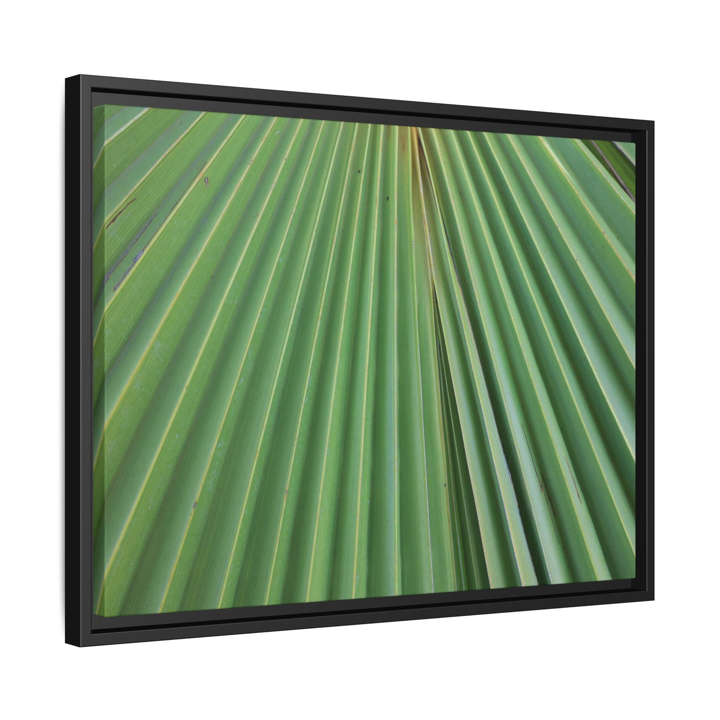 Verdant Veins - Unique Stretched Canvas Wall Art