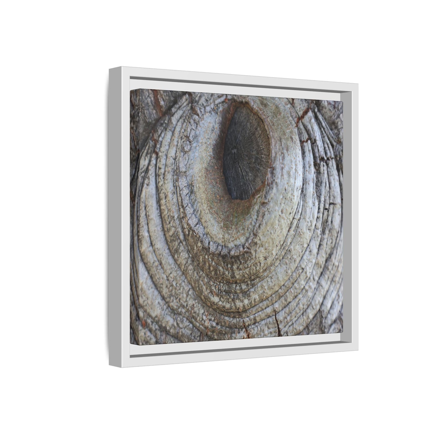 Echoes of Time - Unique Stretched Canvas Wall Art