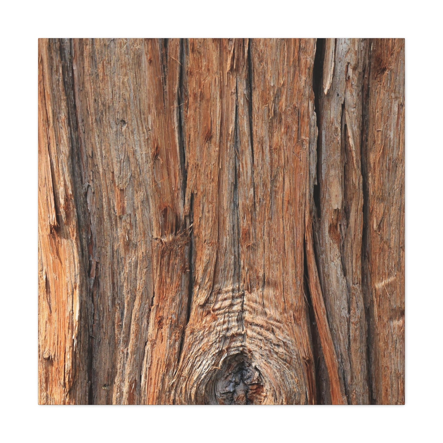 Bark's Ancient Whispers - Unique Frameless Canvas Wall Art