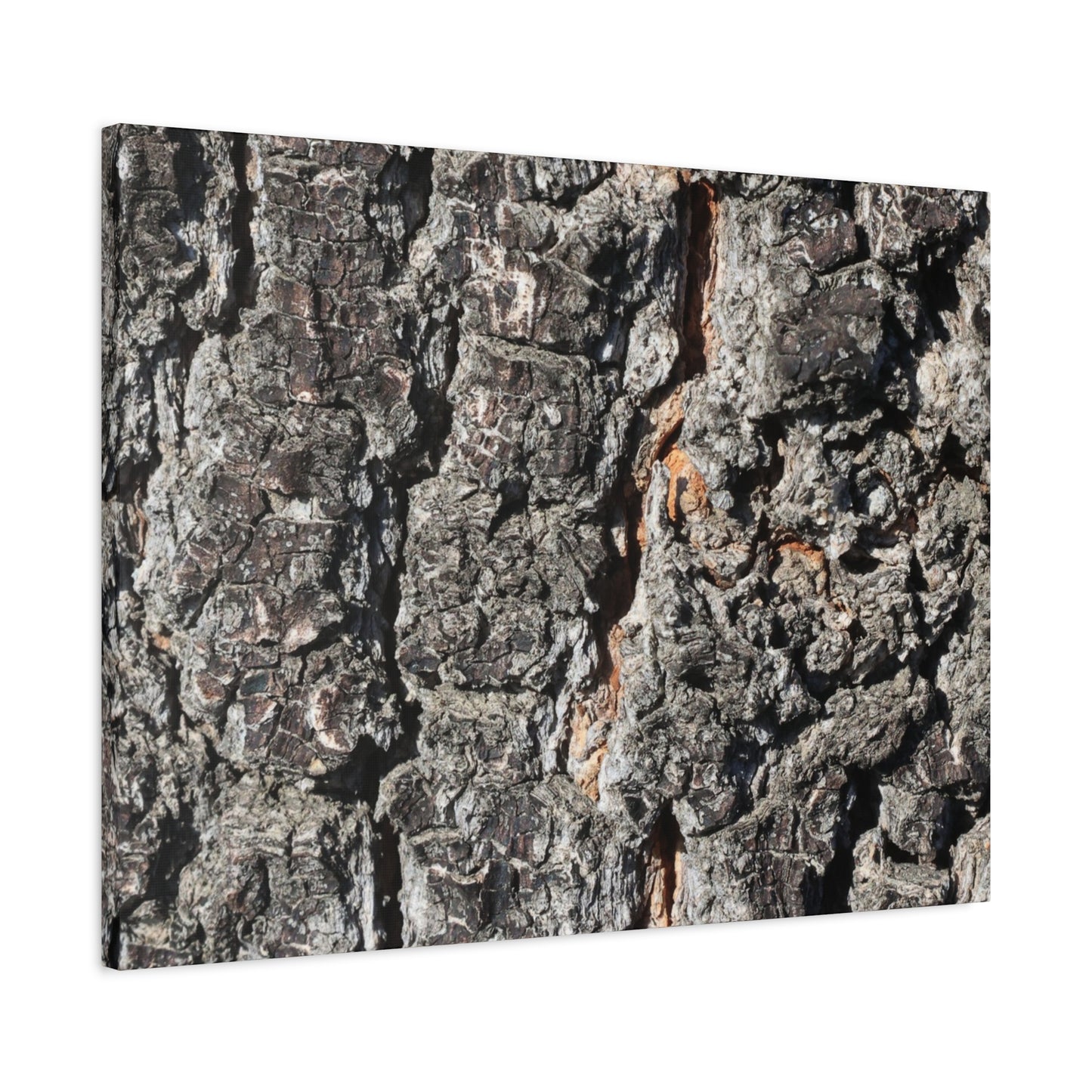 Arboreal Skin - Unique Frameless Canvas Wall Art