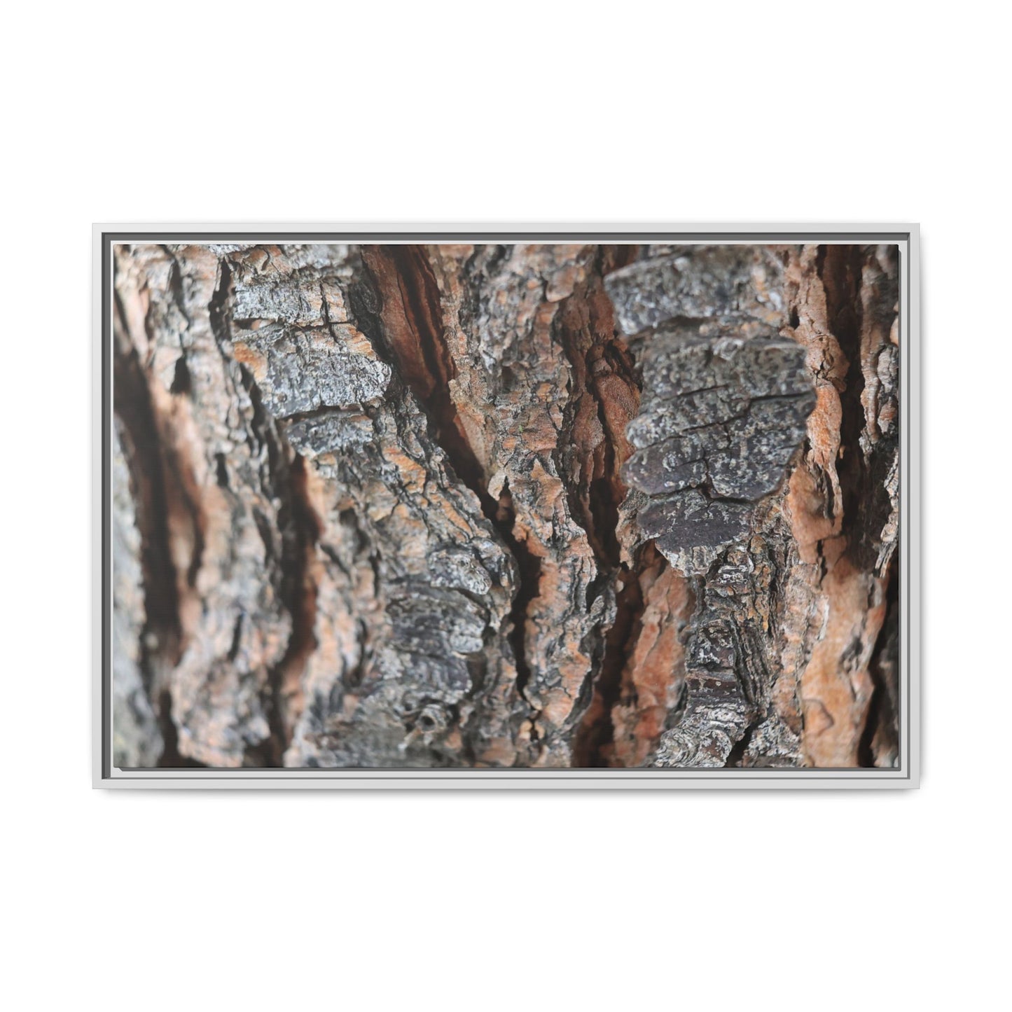 Fractured Nature - Unique Stretched Canvas Wall Art