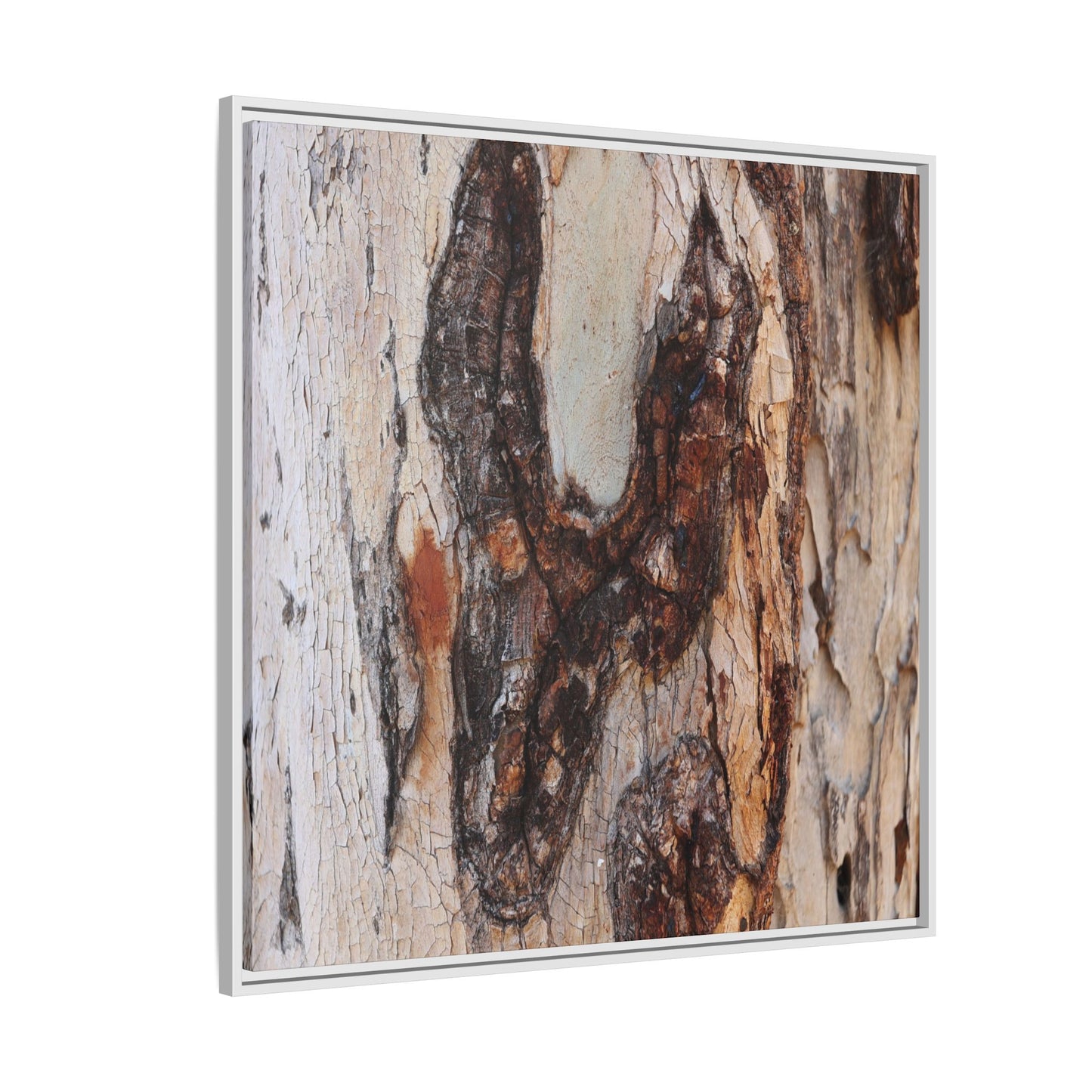 Texture of Time - Unique Stretched Canvas Wall Art
