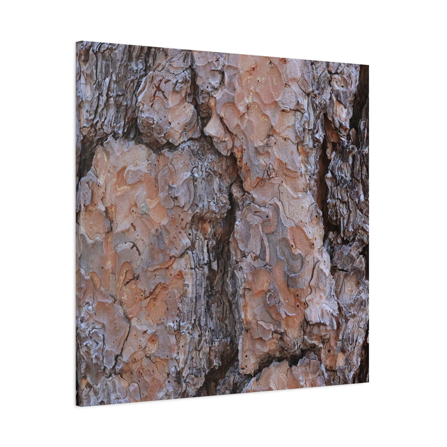 Arboreal Armor - Unique Frameless Canvas Wall Art