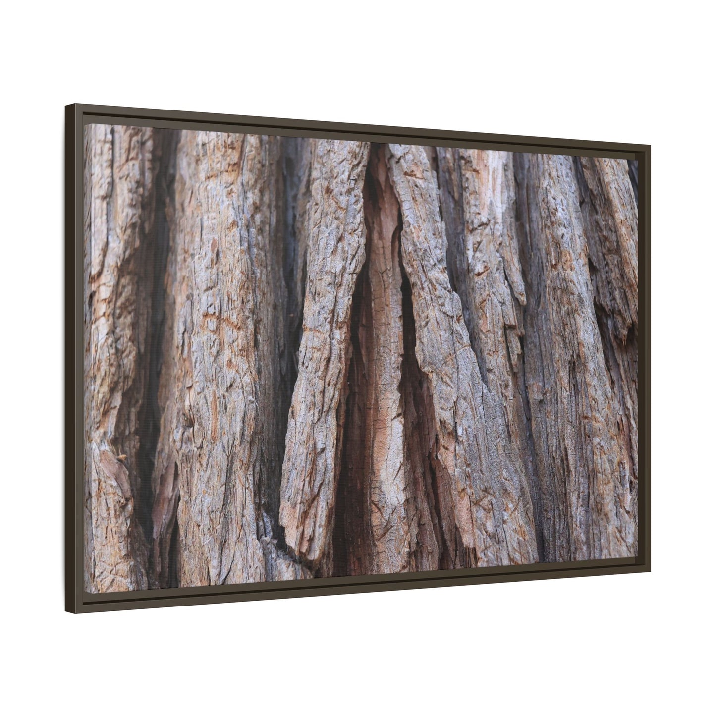 Nature's Sculpture - Unique Stretched Canvas Wall Art