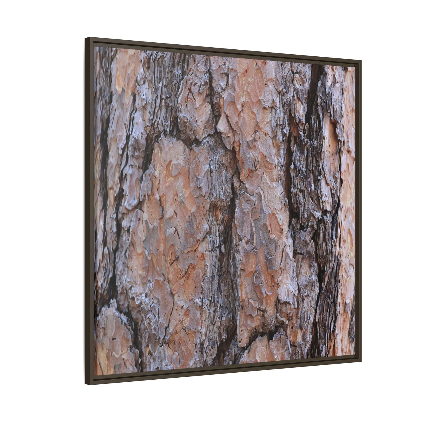 Tree Skin Symphony - Unique Stretched Canvas Wall Art