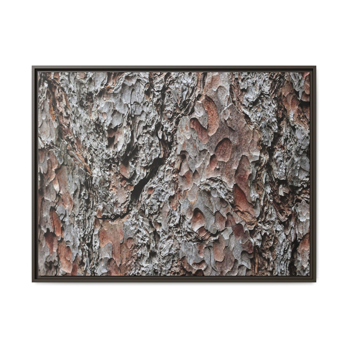 Bark Texture Symphony - Unique Stretched Canvas Wall Art
