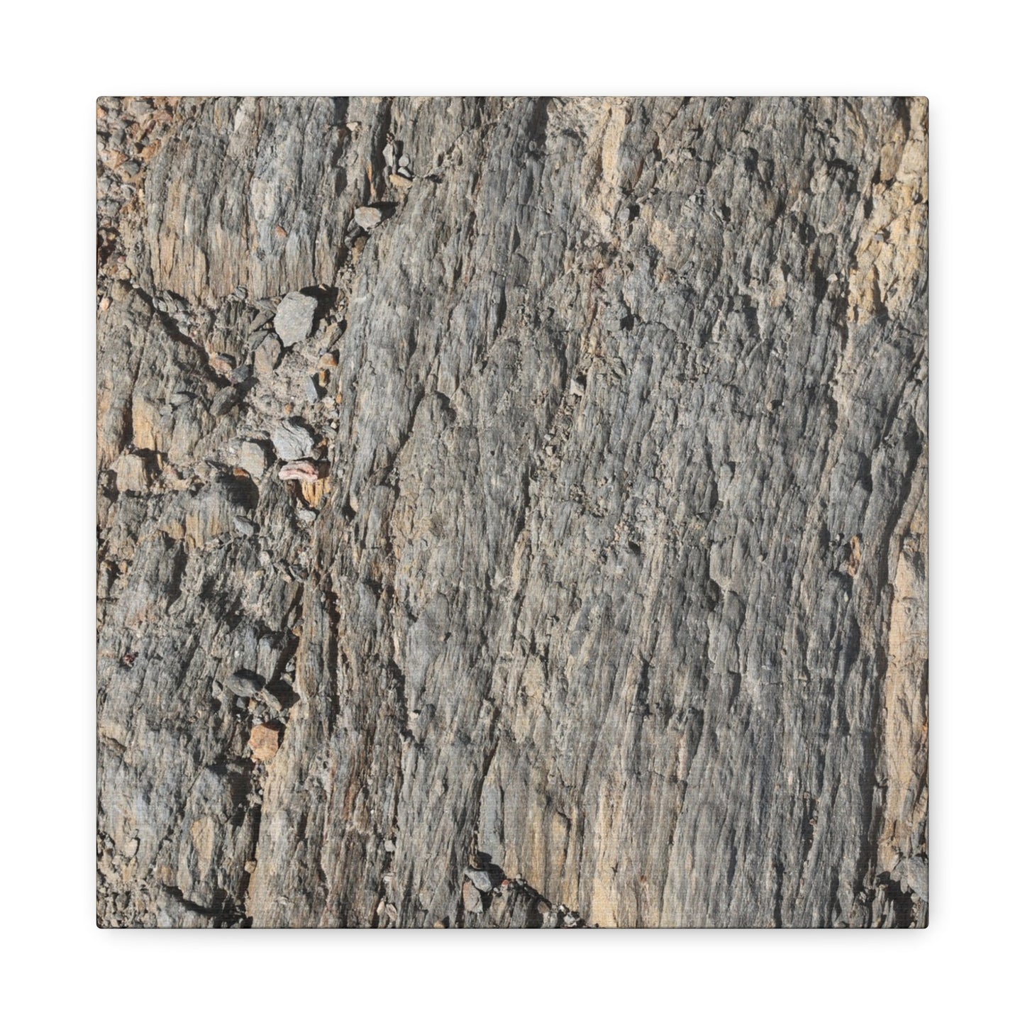 Bark Echoes - Unique Frameless Canvas Wall Art