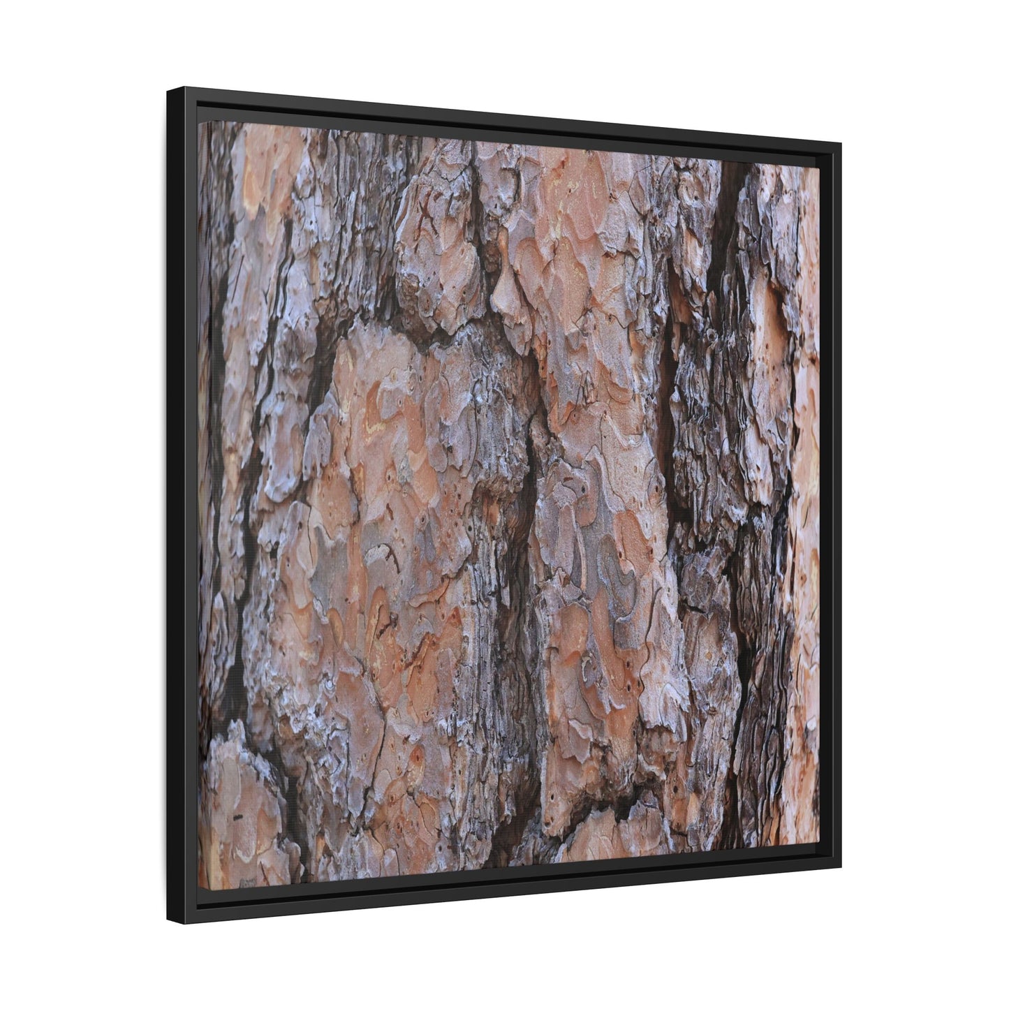 Tree Skin Symphony - Unique Stretched Canvas Wall Art