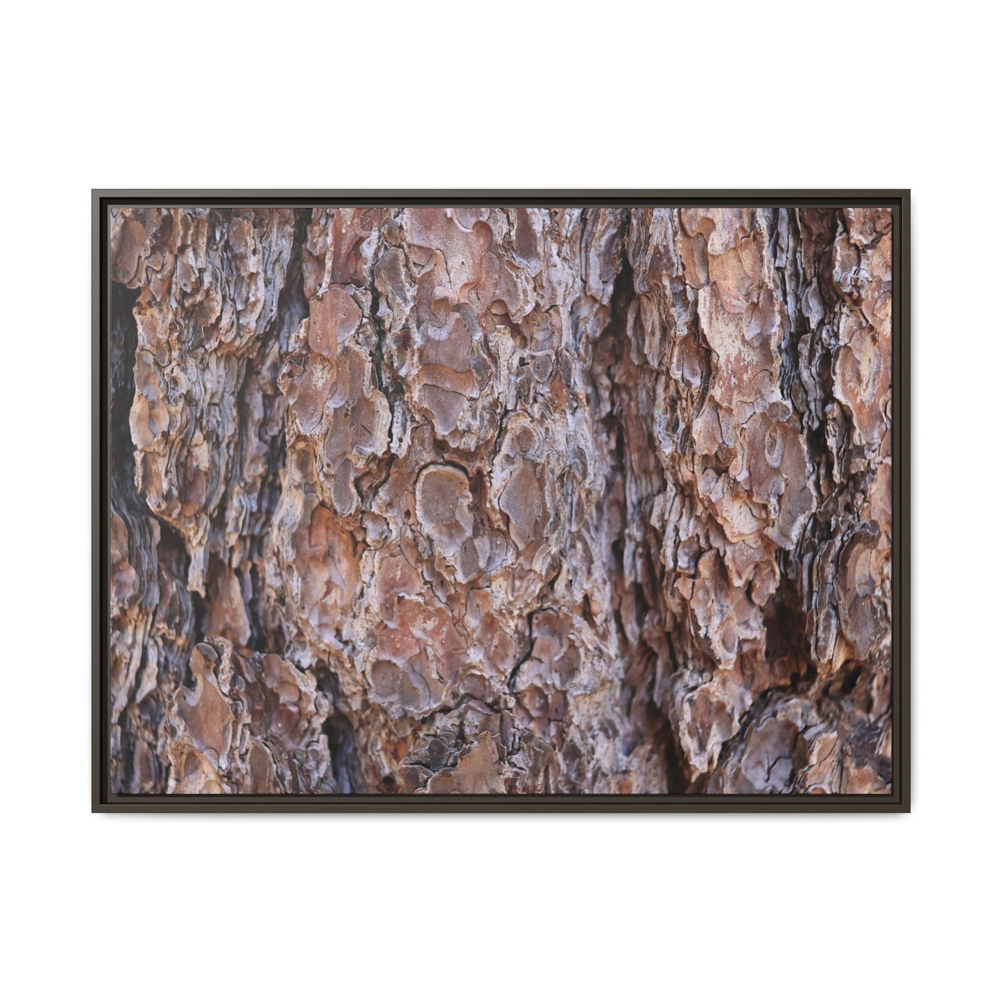 Woody Layers - Unique Stretched Canvas Wall Art