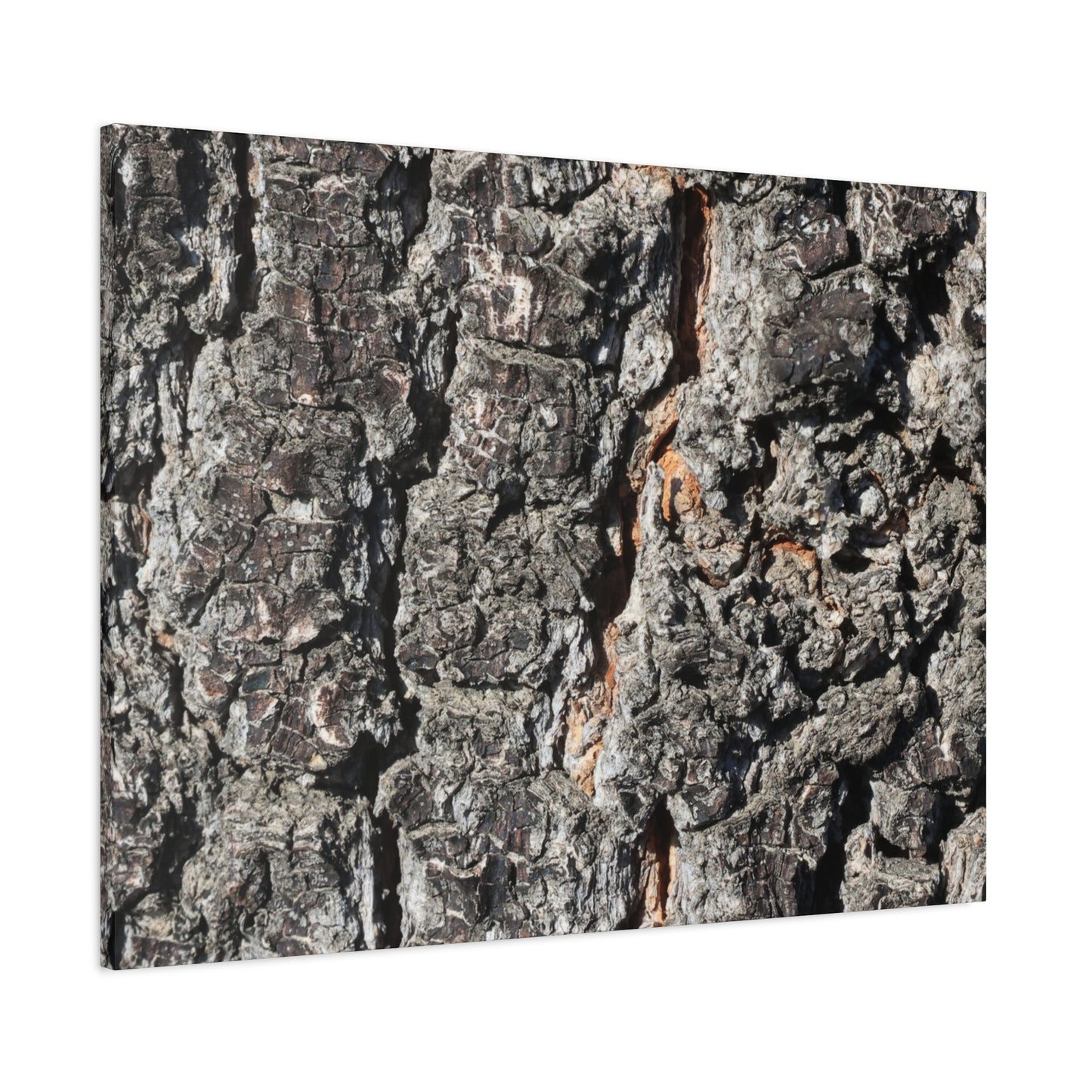 Arboreal Skin - Unique Frameless Canvas Wall Art