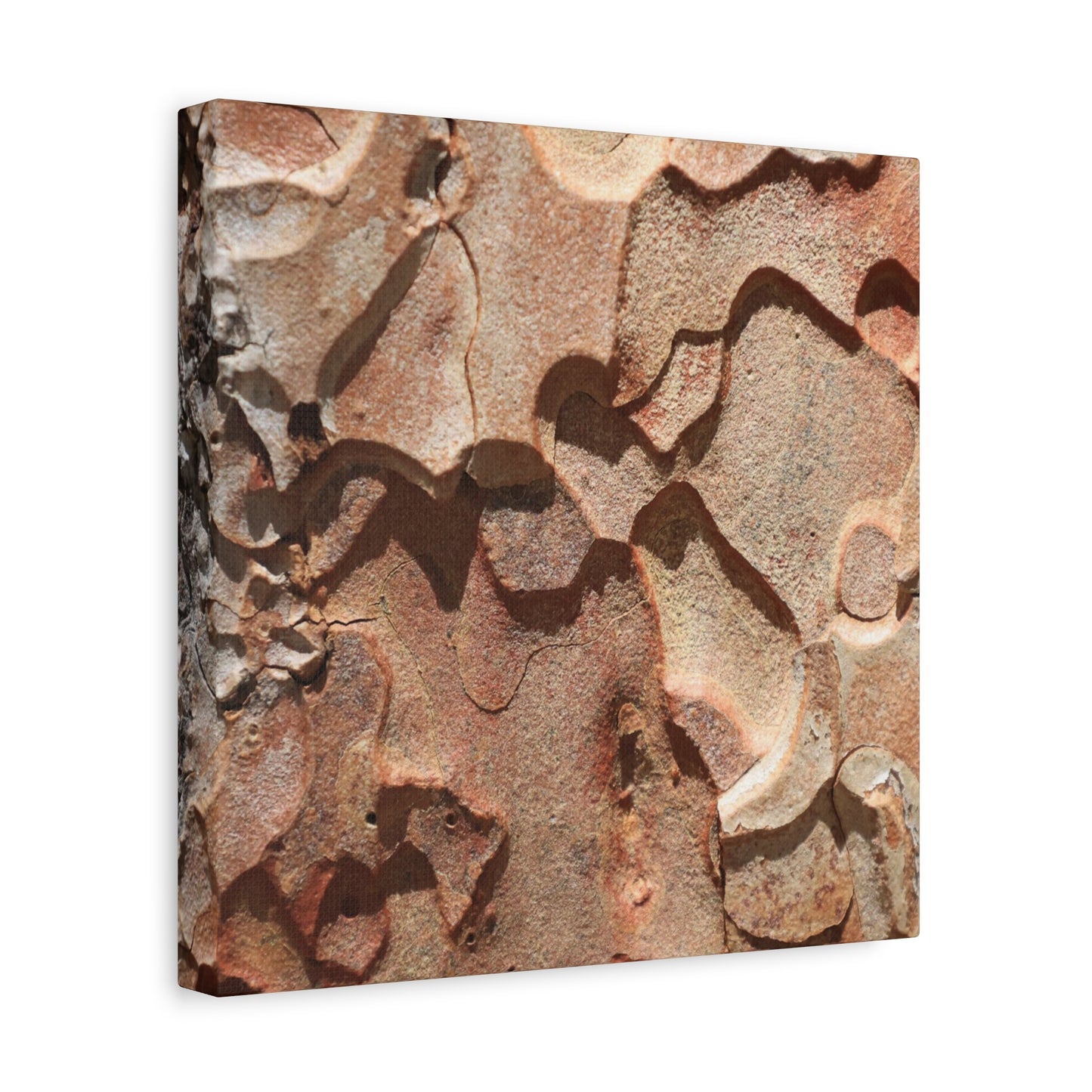 Terracotta Echoes - Unique Frameless Canvas Wall Art
