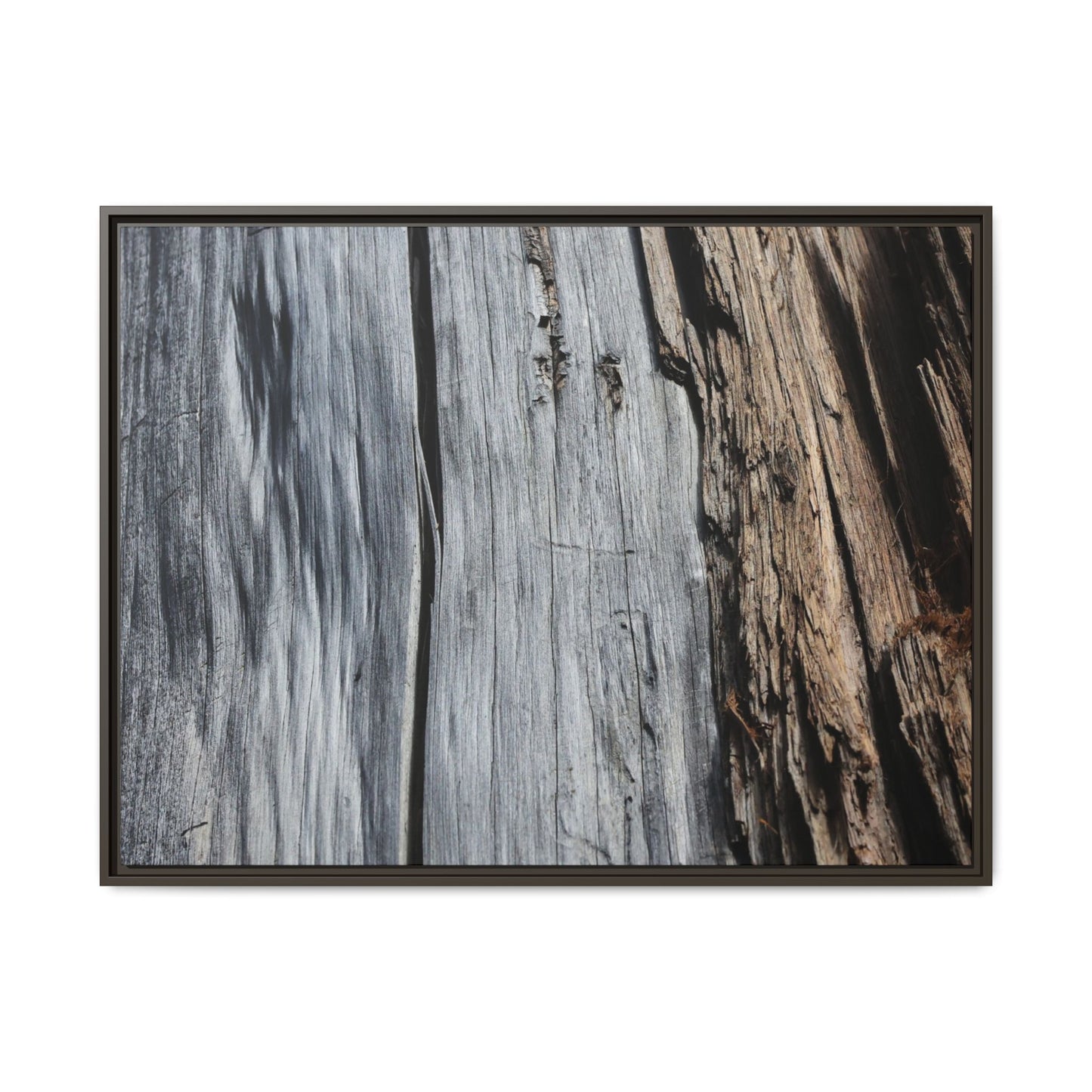 Wood's Lament - Unique Stretched Canvas Wall Art