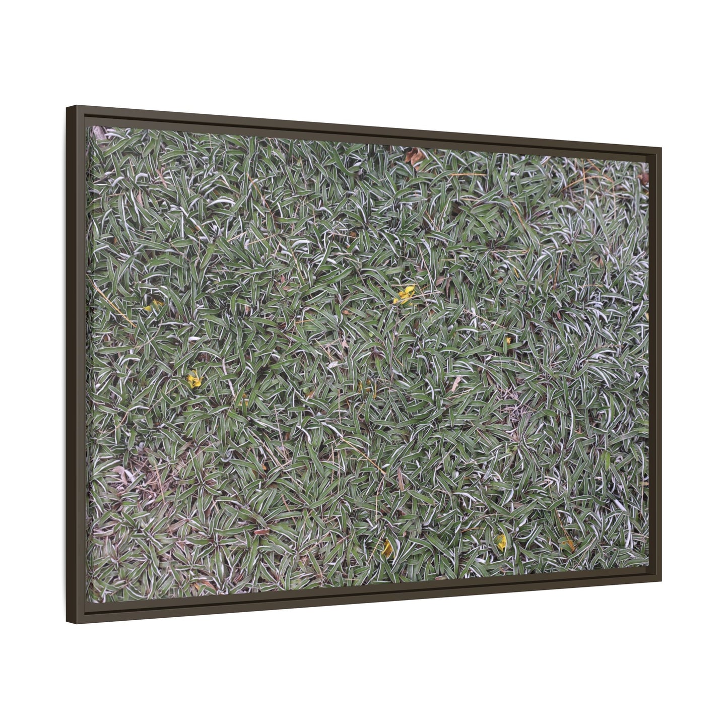 Grassy Texture - Unique Stretched Canvas Wall Art