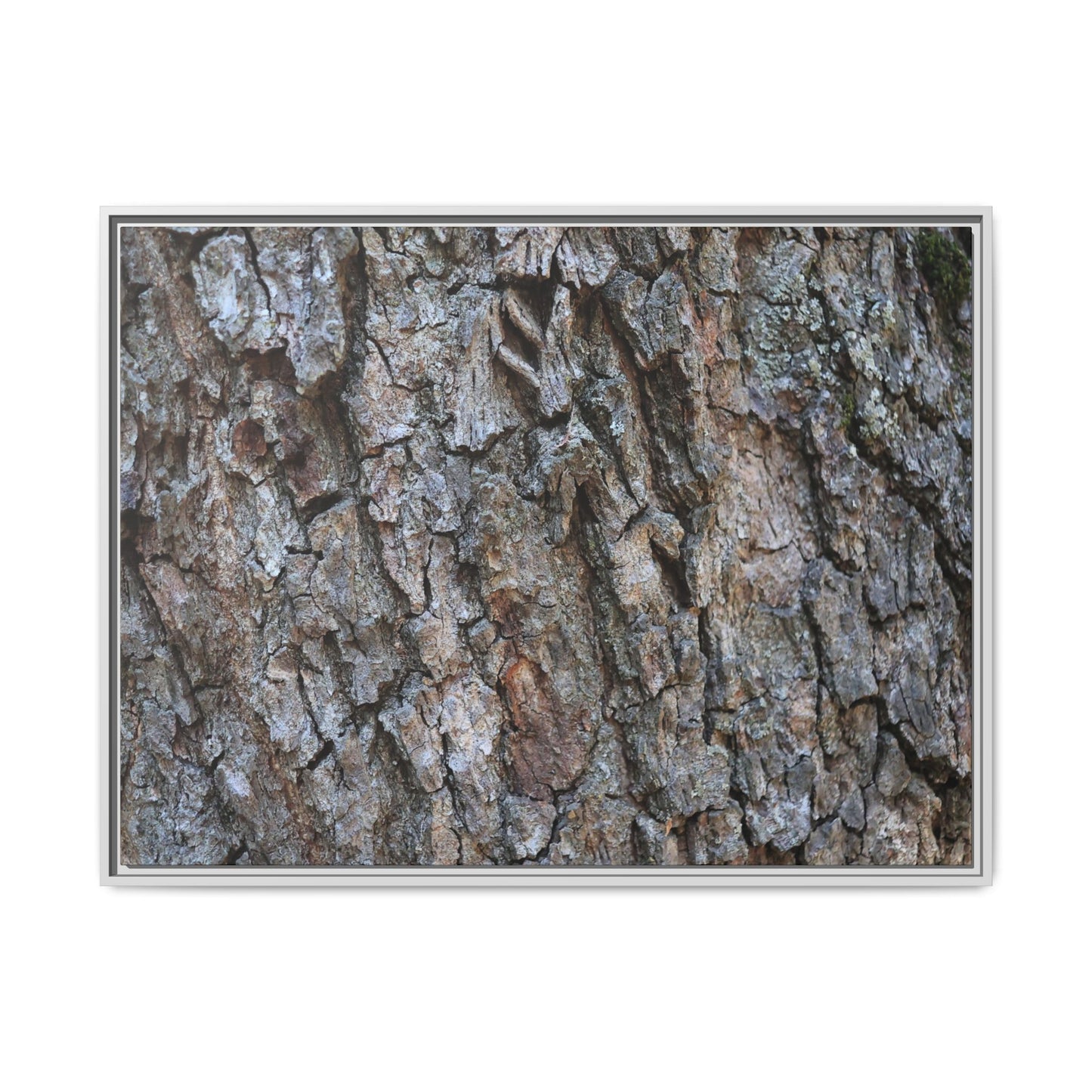 Woodland Skin - Unique Stretched Canvas Wall Art