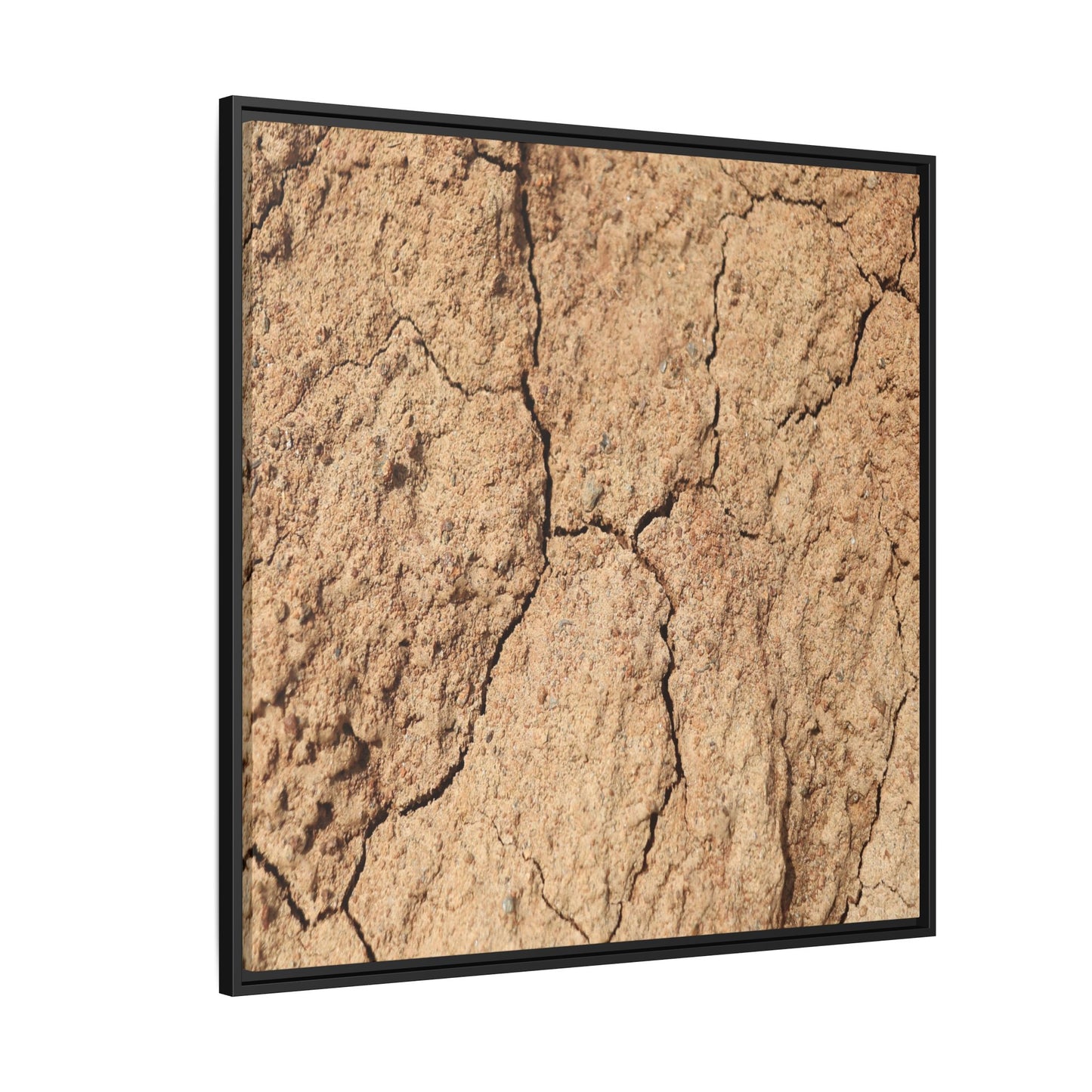 Parched Land - Unique Stretched Canvas Wall Art