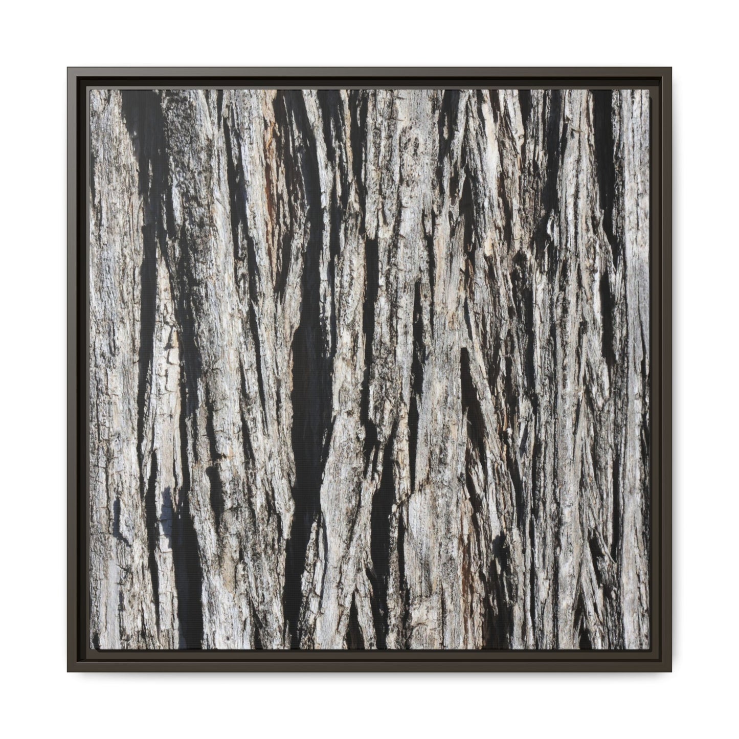 Bark Lines - Unique Stretched Canvas Wall Art