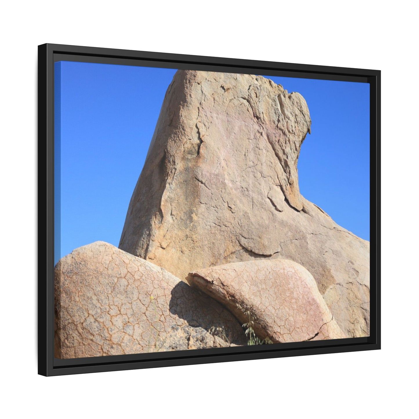 Rocky Sentinel - Unique Stretched Canvas Wall Art