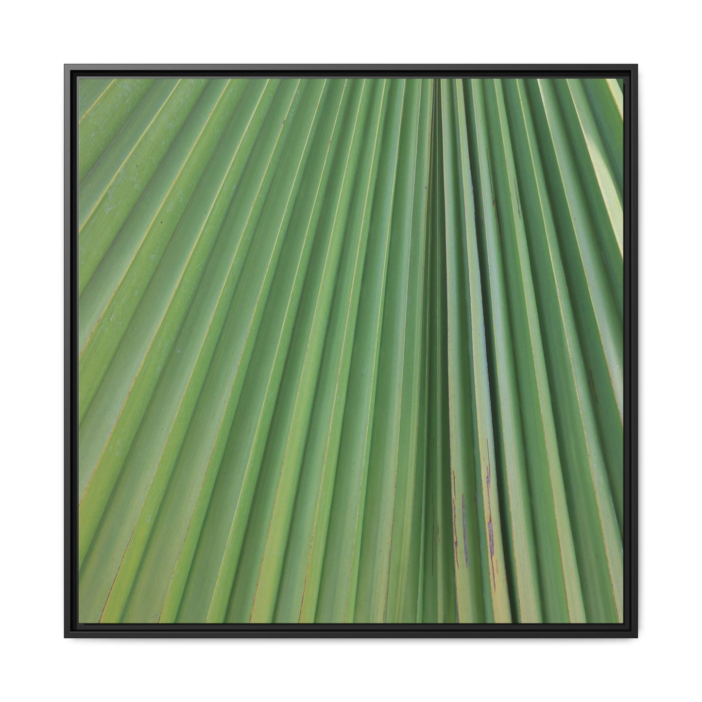Emerald Rays - Unique Stretched Canvas Wall Art