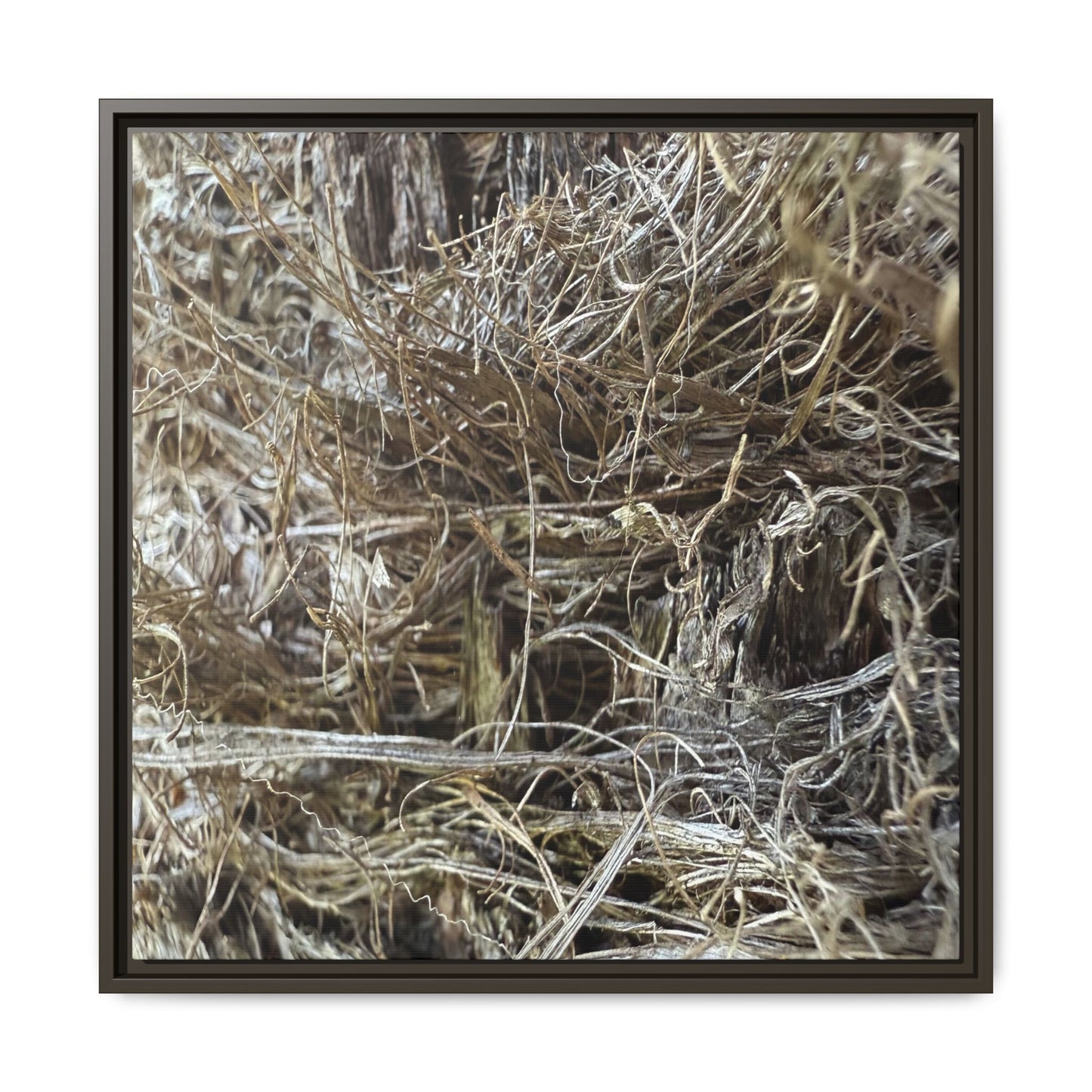 Tangled Whispers of Autumn - Unique Stretched Canvas Wall Art