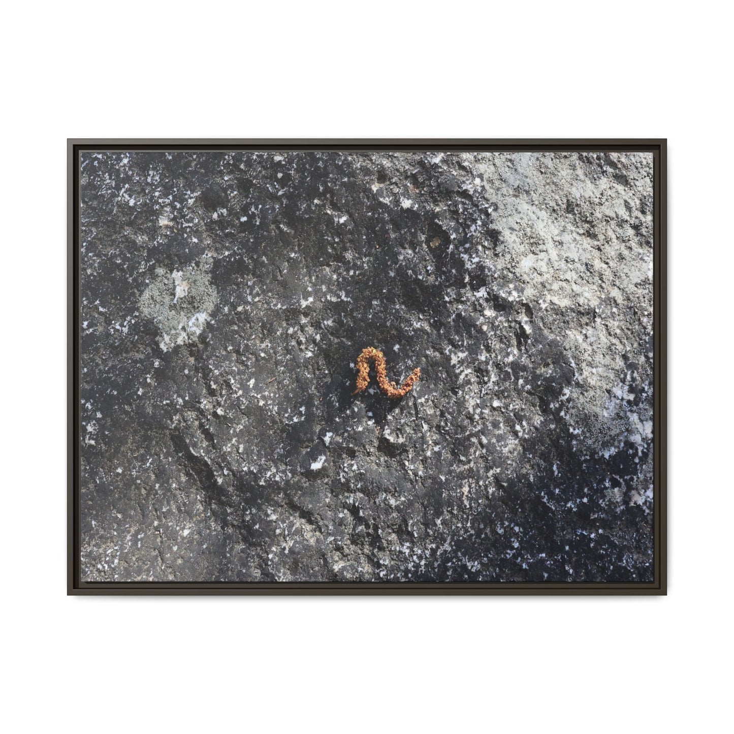 Volcanic Ash and Copper - Unique Stretched Canvas Wall Art