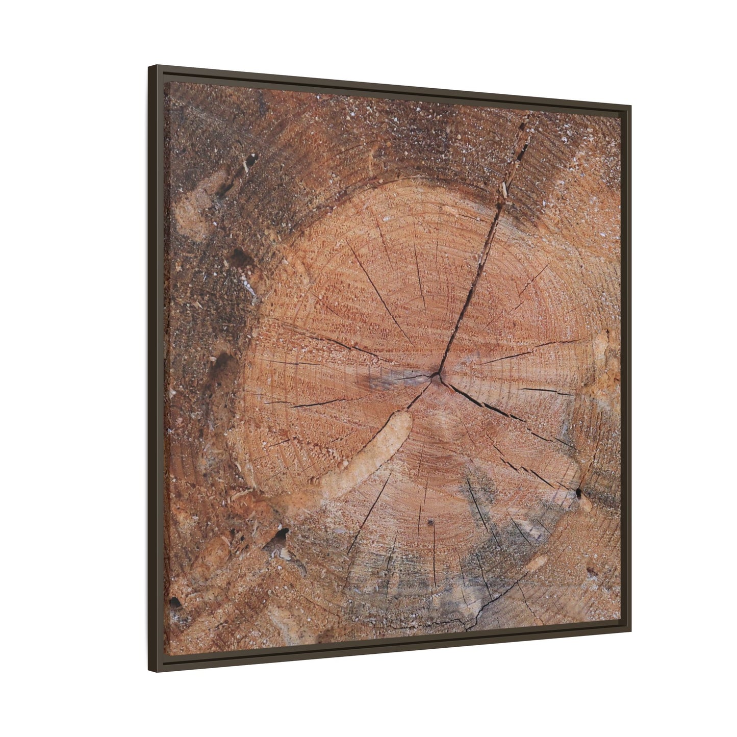 Concentric Memories - Unique Stretched Canvas Wall Art